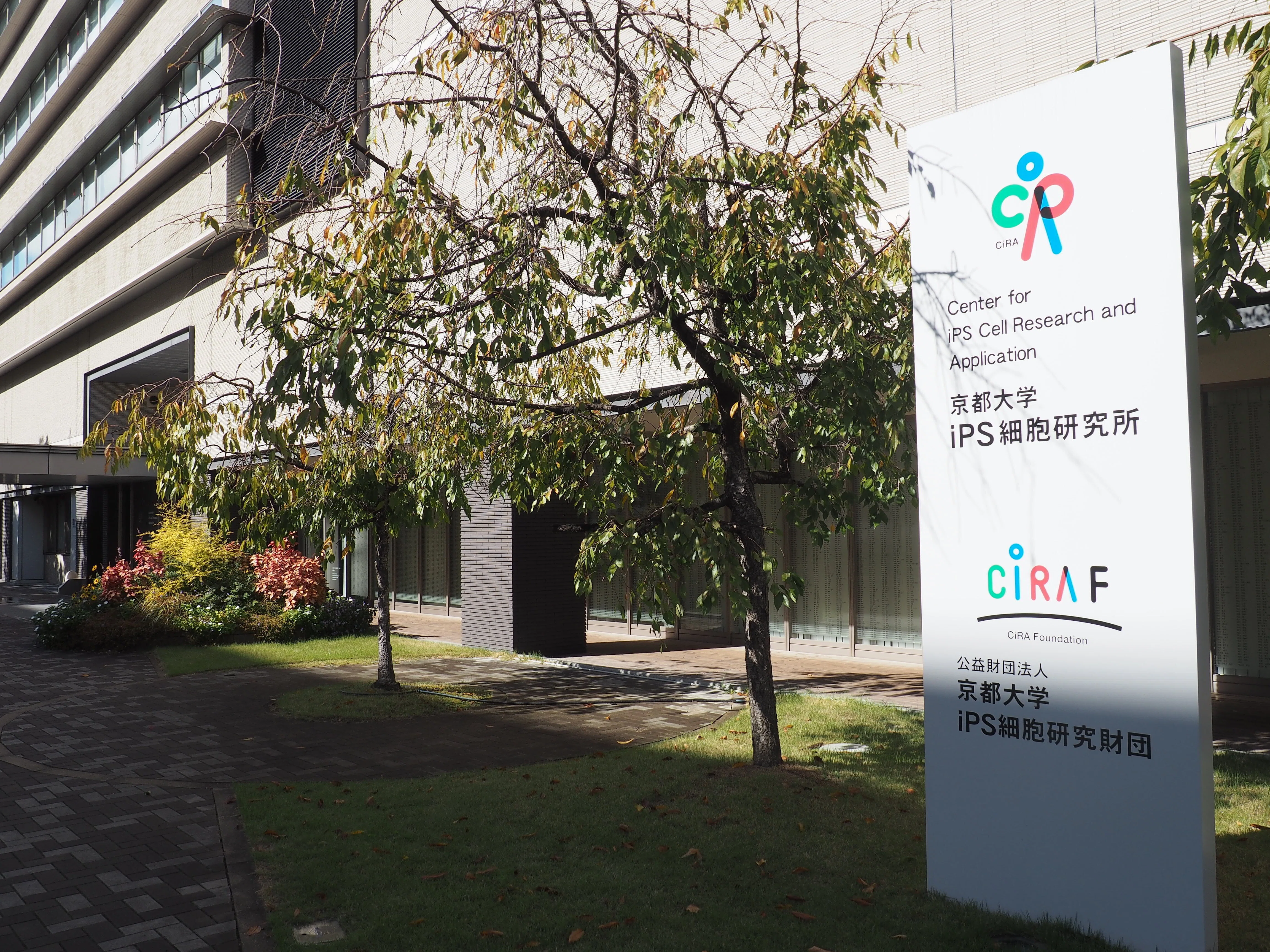 スクープ】京大教授”出世論文”改ざんの舞台裏 告発した研究員は3カ月