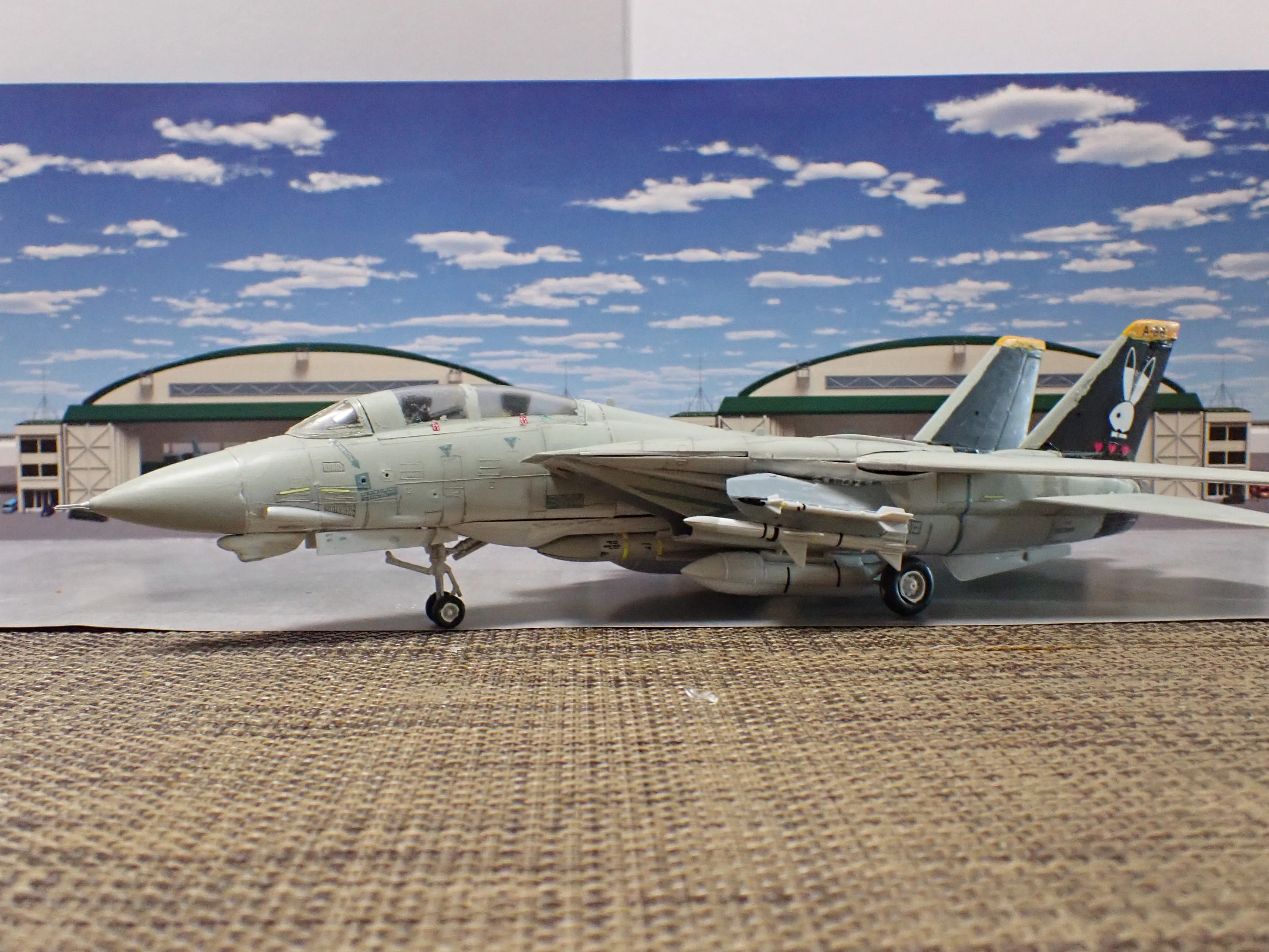 エリア88 F-14(ミッキー・サイモン） エリア88」 F-14A トムキャット “ミッキー・サイモン” | 株式会社 ハセガワ