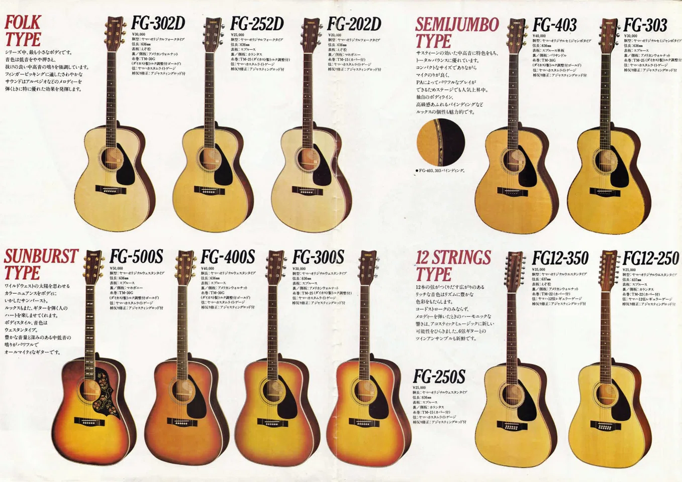 YAMAHA FG12-250 エレアコ仕様 12弦