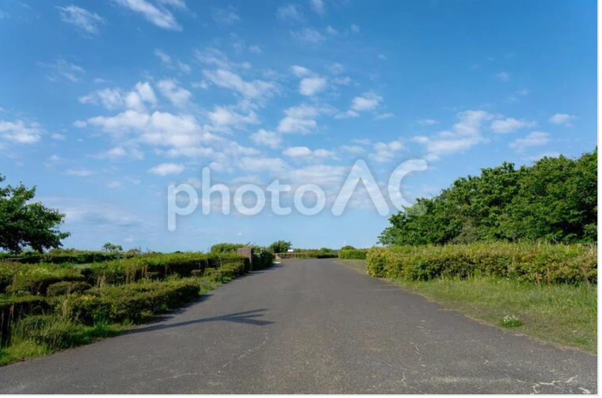 Path Line Texture A single photo was downloaded in all sizes: S, M, and L—Reflecting on ...