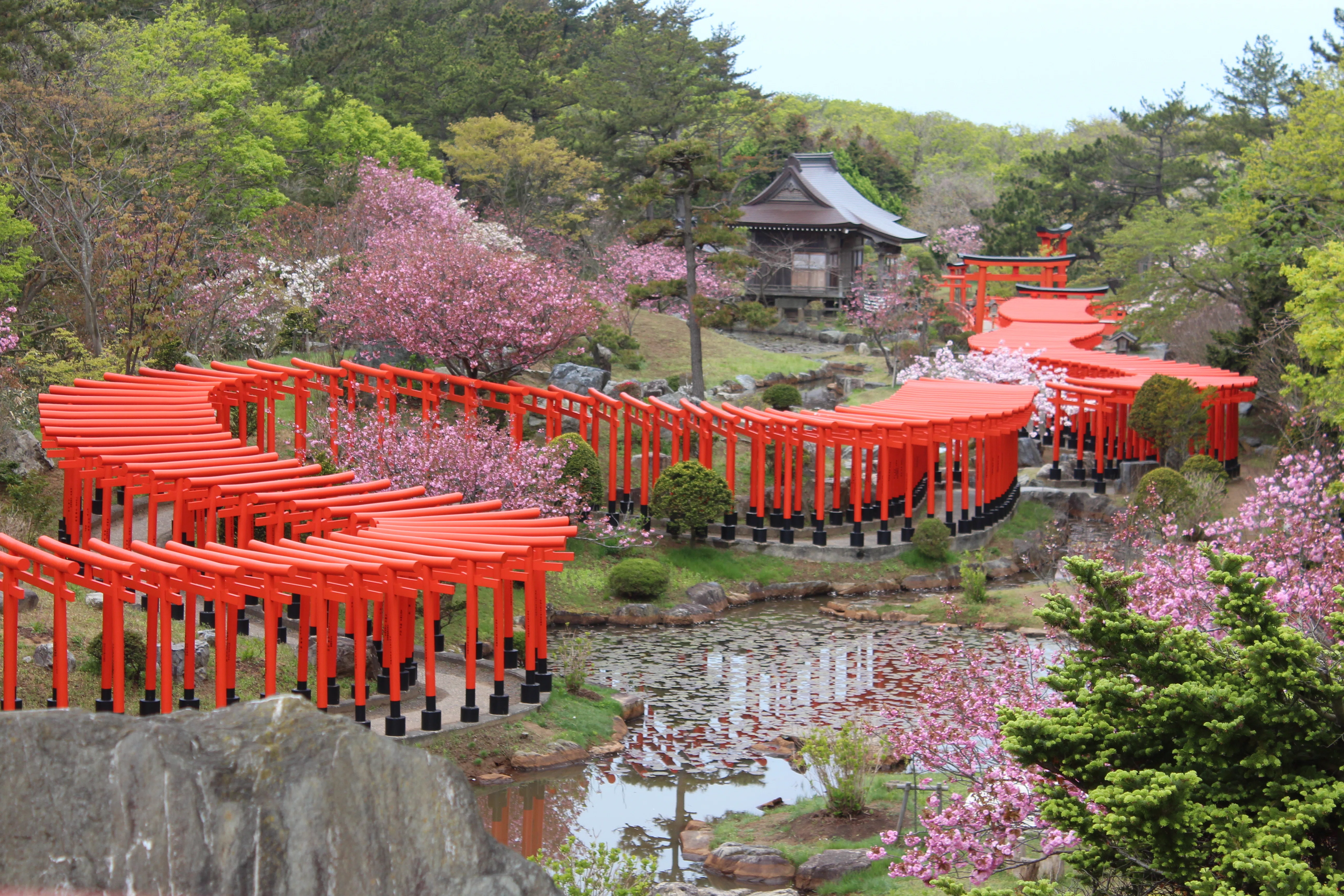 千本鳥居の奥にあるもの ―― 高山稲荷神社 調査レポート｜mito
