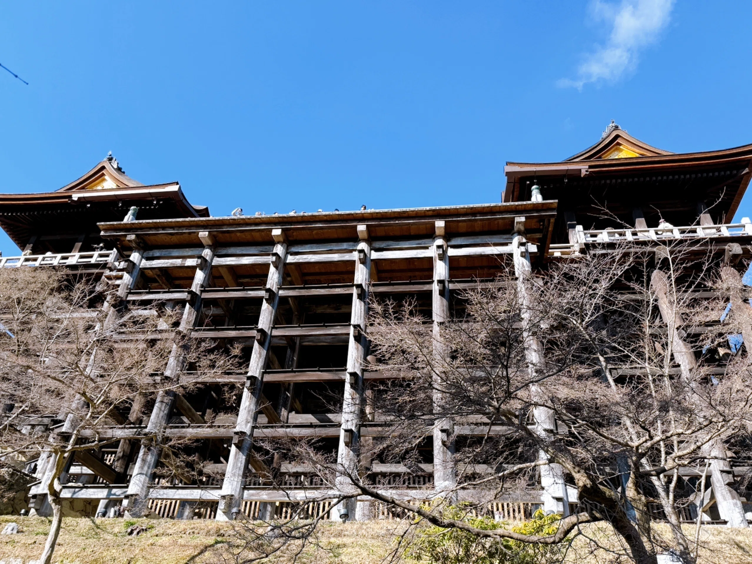 京都奈良 Day3 | 古都彷徨、東山を征く｜YO
