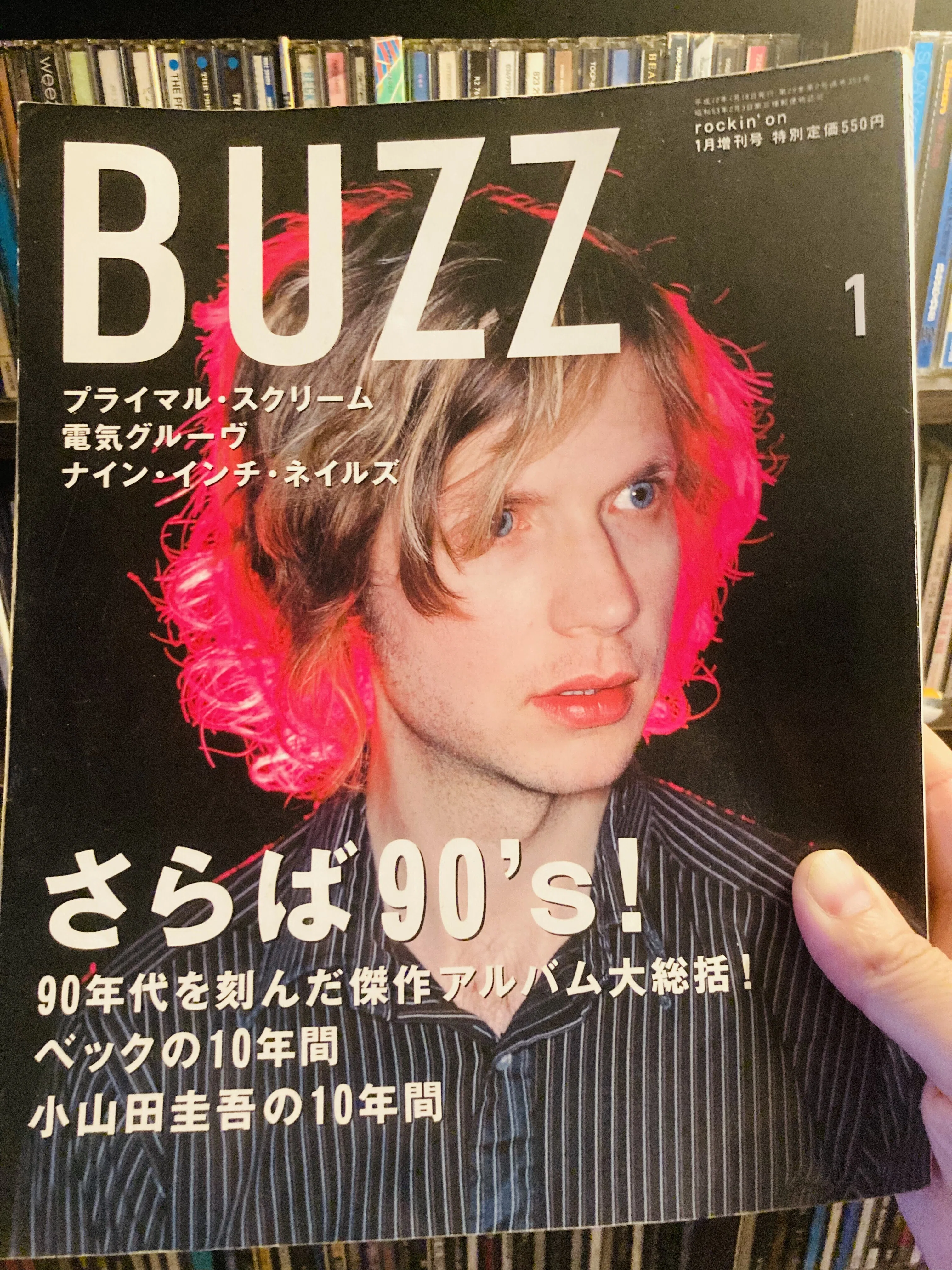 90年代、“洋楽”はカーディガンズだった－“ビッグ・イン・ジャパン