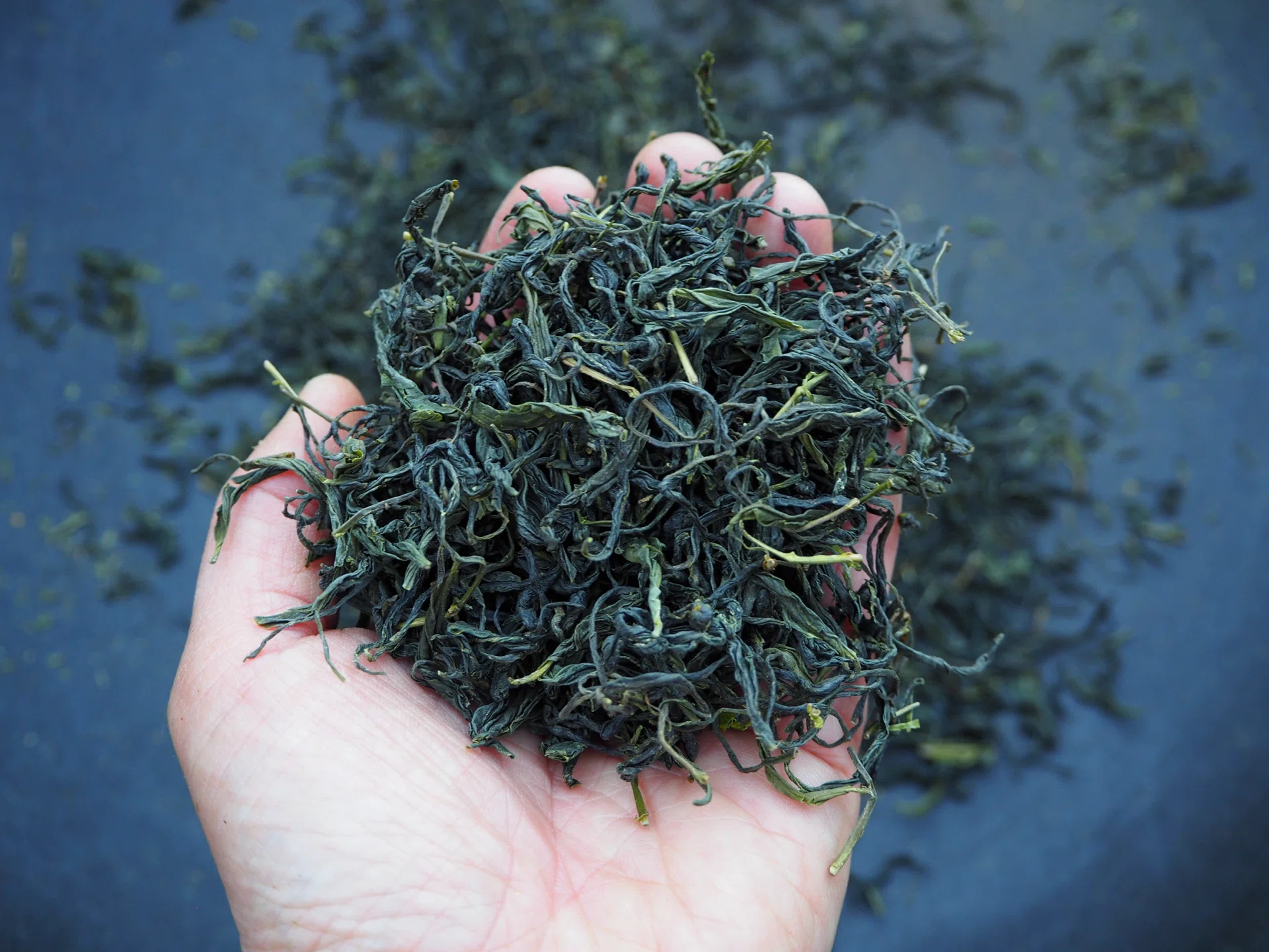 木頭の伝説の釜炒り茶？！｜きっとくらす