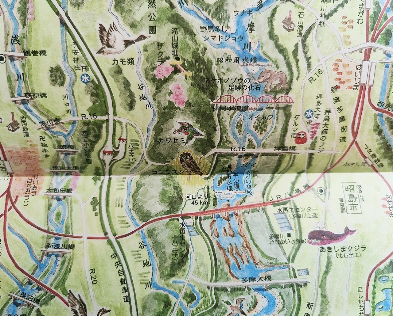 多摩川散策絵図』村松 昭｜読書感想文349｜Nuts Book Stand