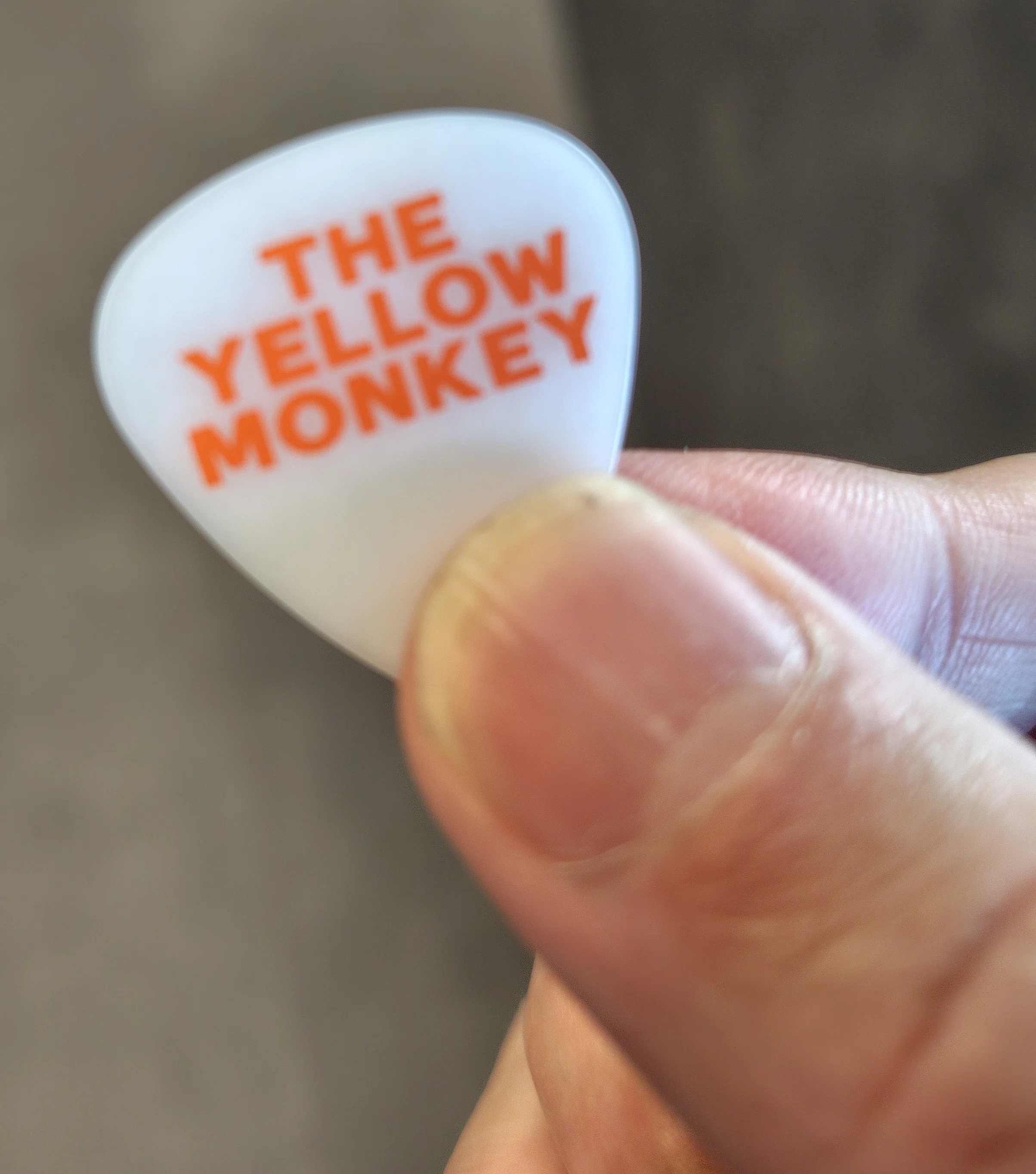 FAN CLUB 10th Anniversary THE YELLOW MONKEY TOUR2026 THE COUNTDOWN