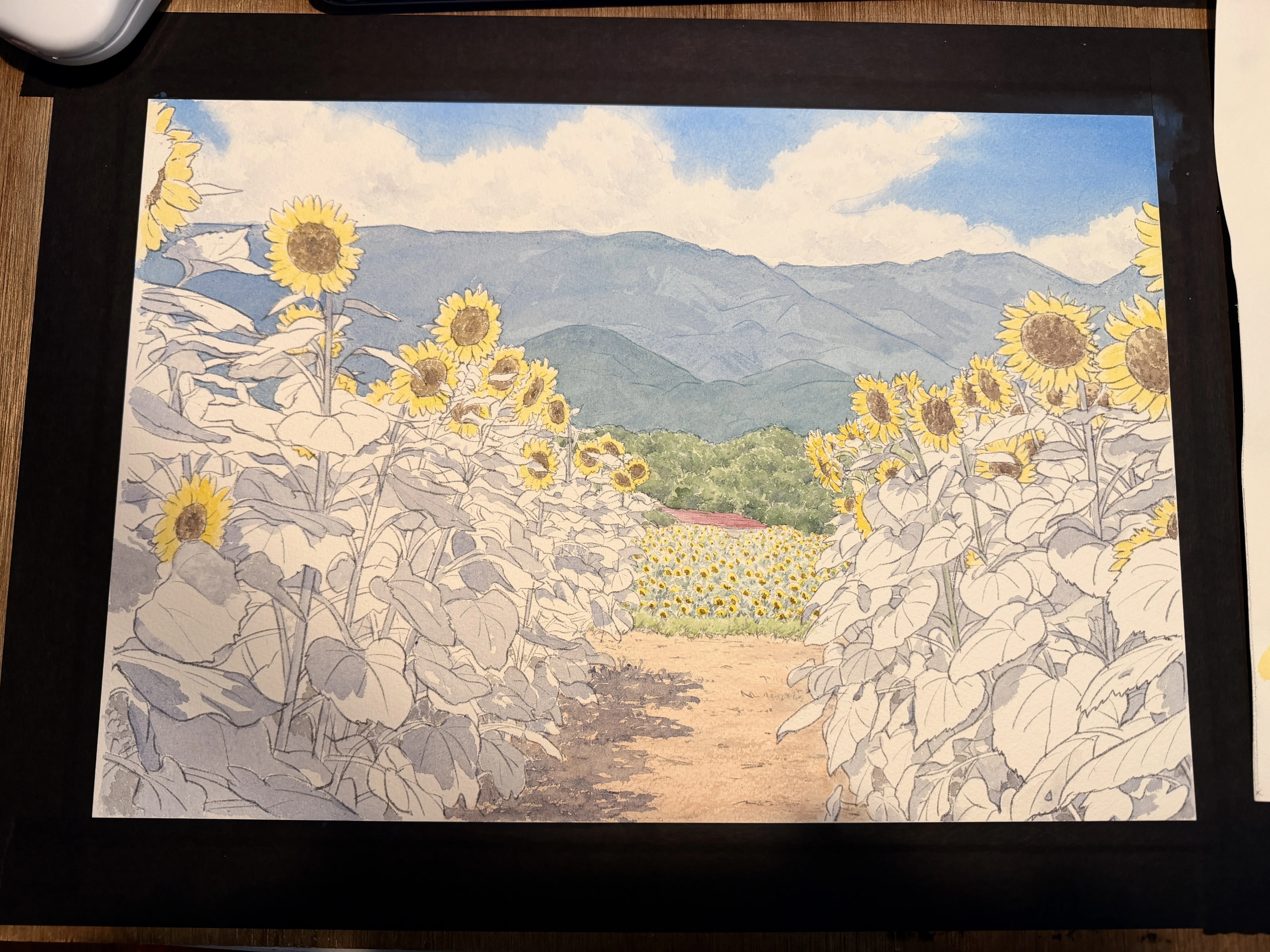 明野のひまわり畑 水彩風景画｜かんざきかりん