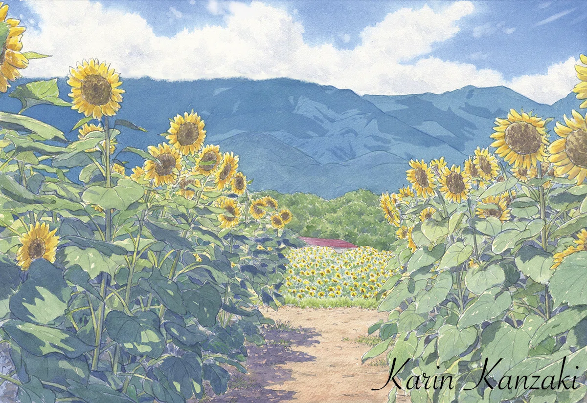 水彩画　ジクレー版画「紫蘇畑と向日葵」（京都市大原） 水彩画（土井大輔） | kardalio 絵画