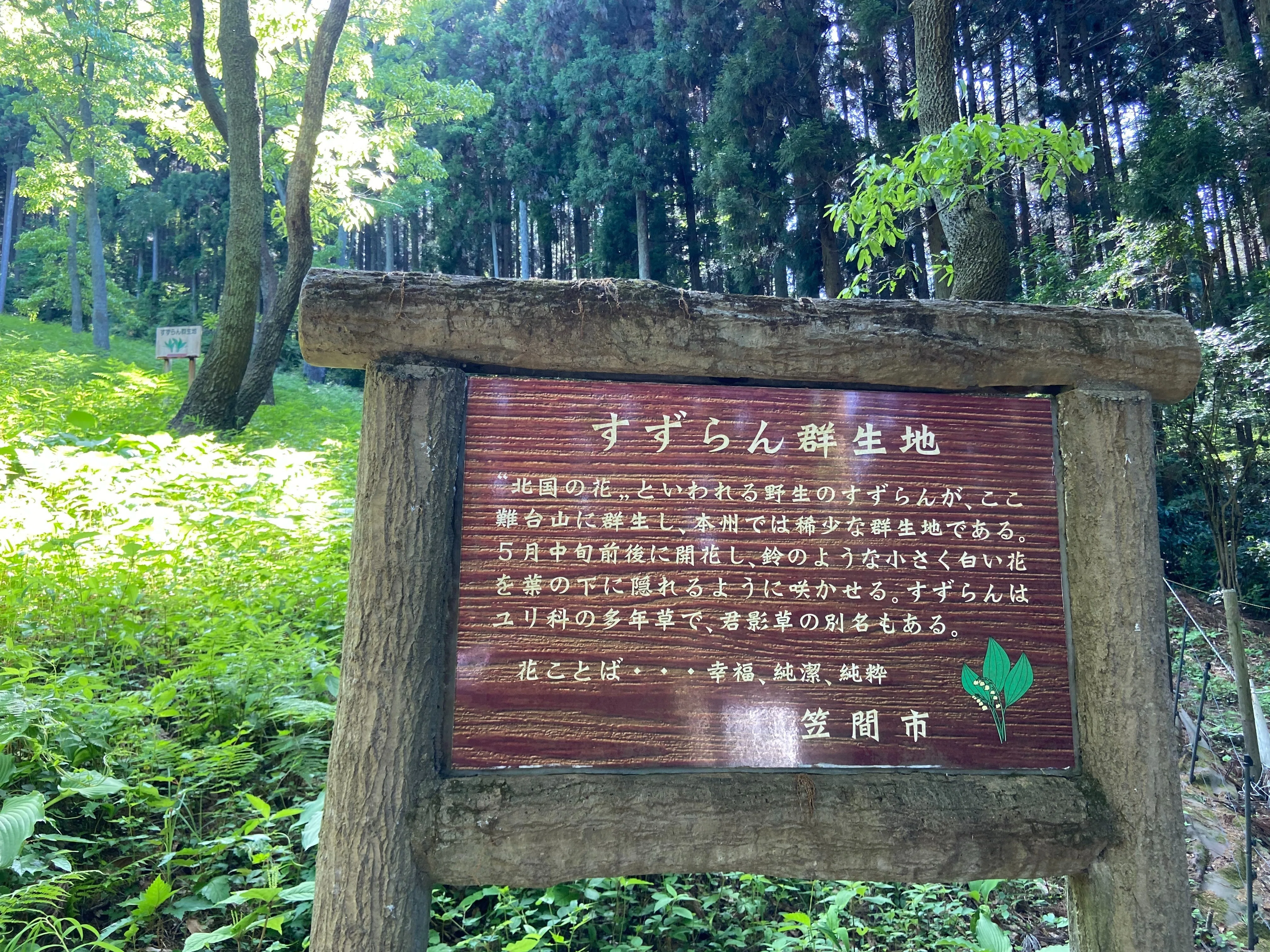 日本古来種のすずらん群生地へ｜ミカイターいなお＠実用地歴提案会 