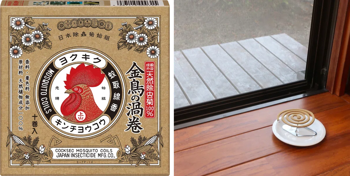 【キクチヨ様】meijiVAAMPREMIUM200ml×6本　10パック60本 May is the Season for Pyrethrum: Japan Was Once the World's