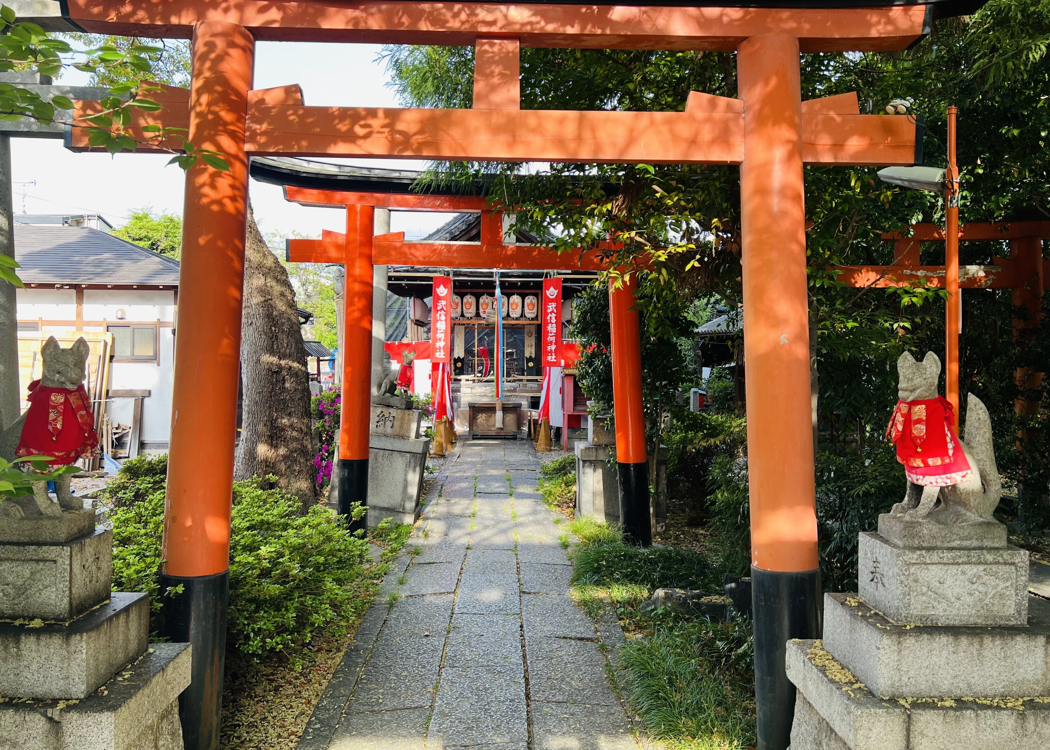 京都の遅咲き桜を探して ＃2｜Masa Kimata