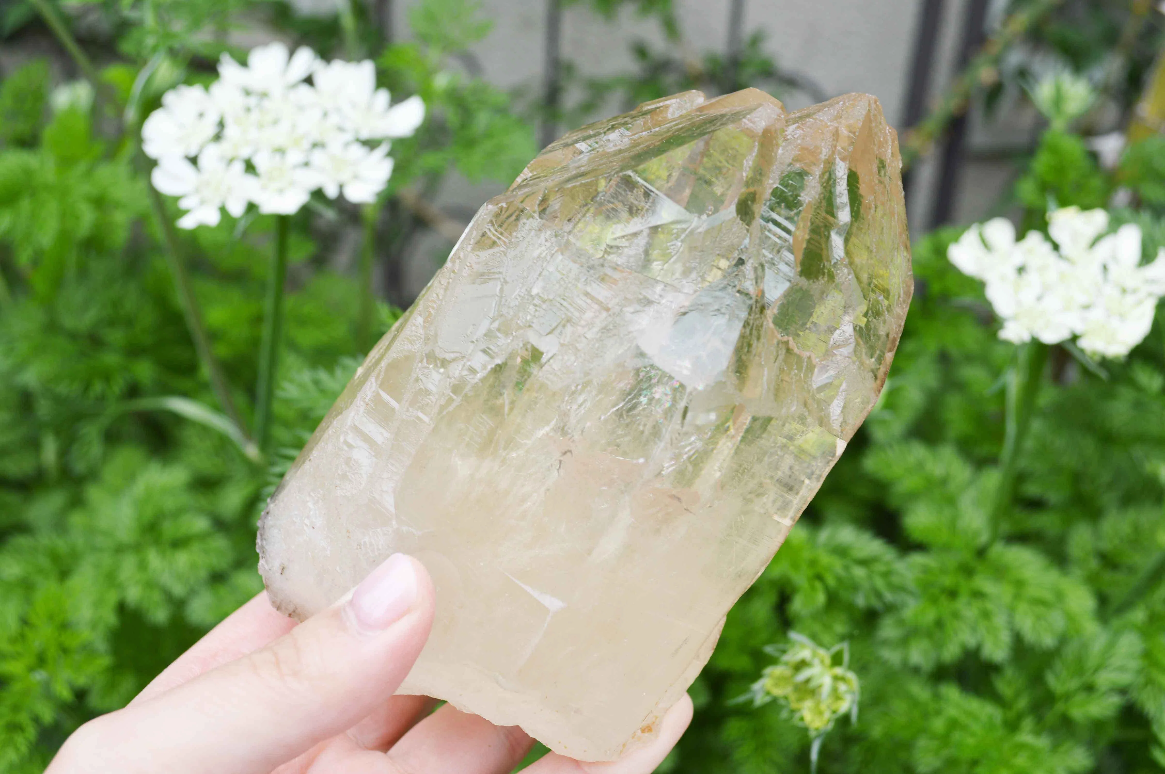 A Cathedral of Light Created by Nature. What Kind of Crystal is a