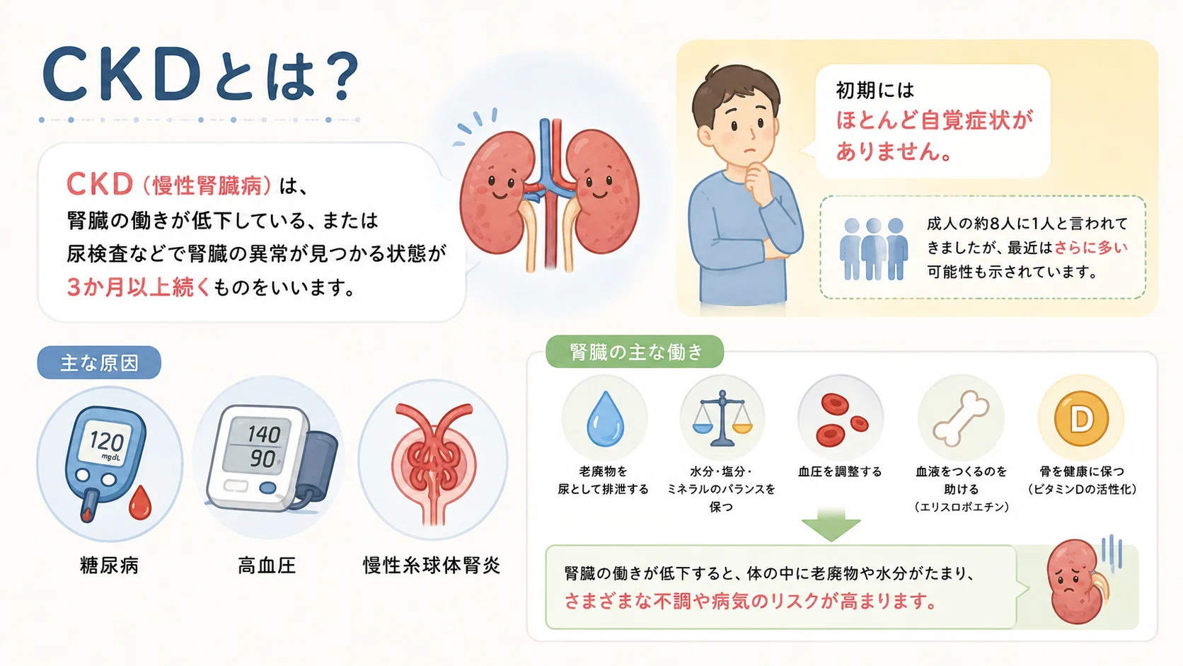 第3回：腎臓と心臓の意外なつながり（CKD）｜こはく堂薬局