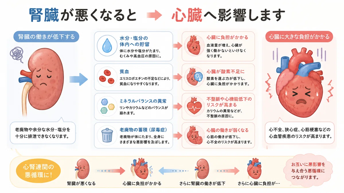 CKDと心臓