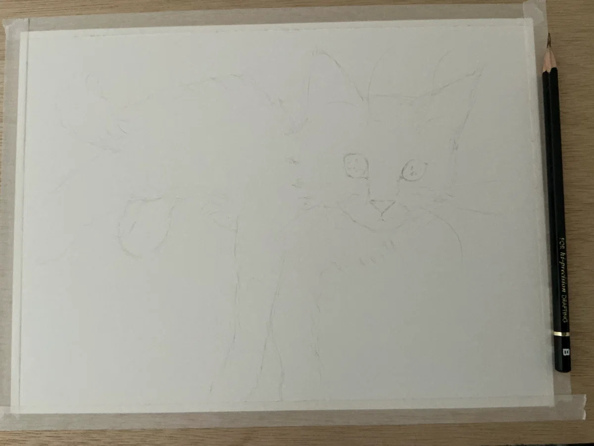 ふわふわ子猫 色鉛筆画｜ぎんなん
