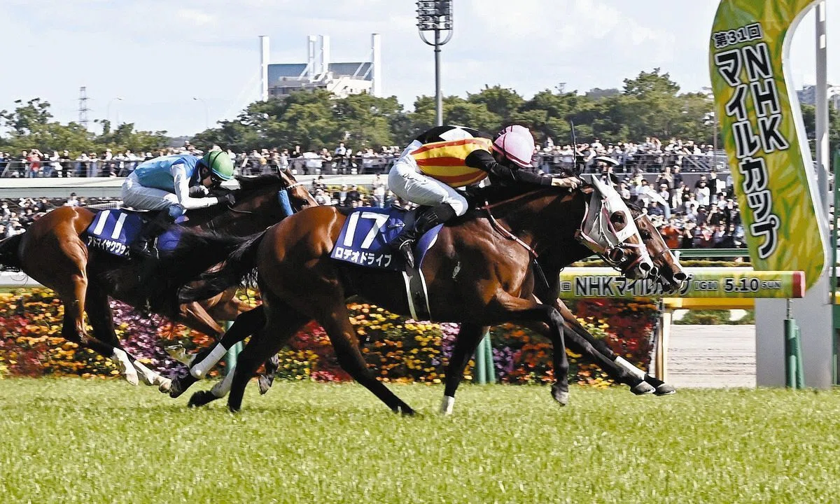 2000年 NHKマイルカップ 単勝券 イーグルカフェ NHKマイルカップ初勝利！｜かつしゅん