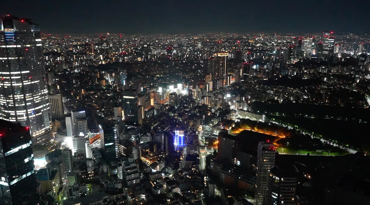 本文画像