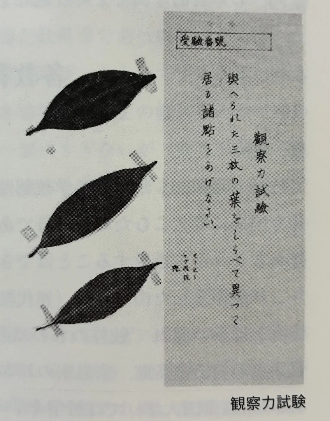 武蔵コラム①】入試でネジが配られる中学校——武蔵の「おみやげ問題」が