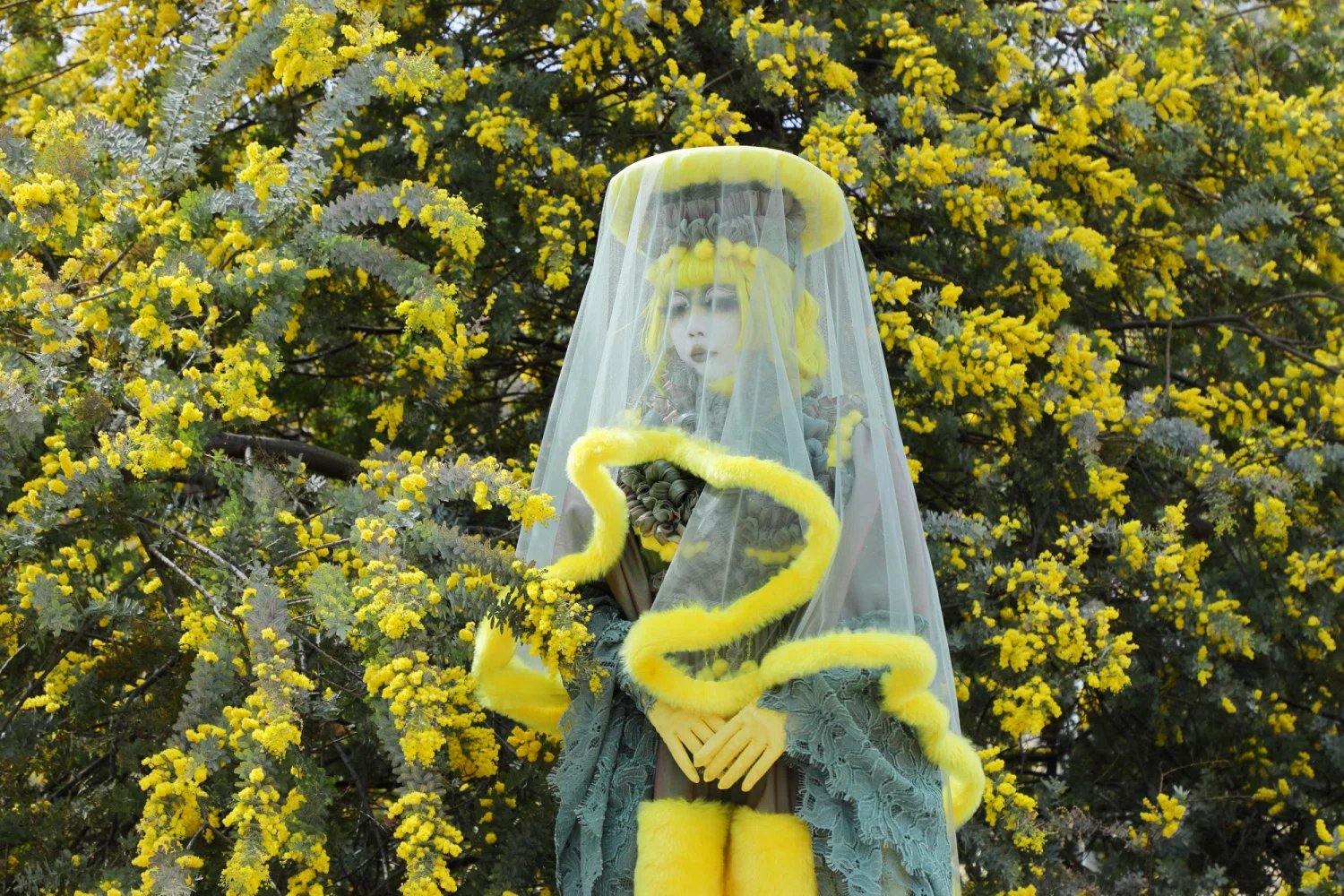 June Solo Exhibition] Flower Language and What Lies Beyond