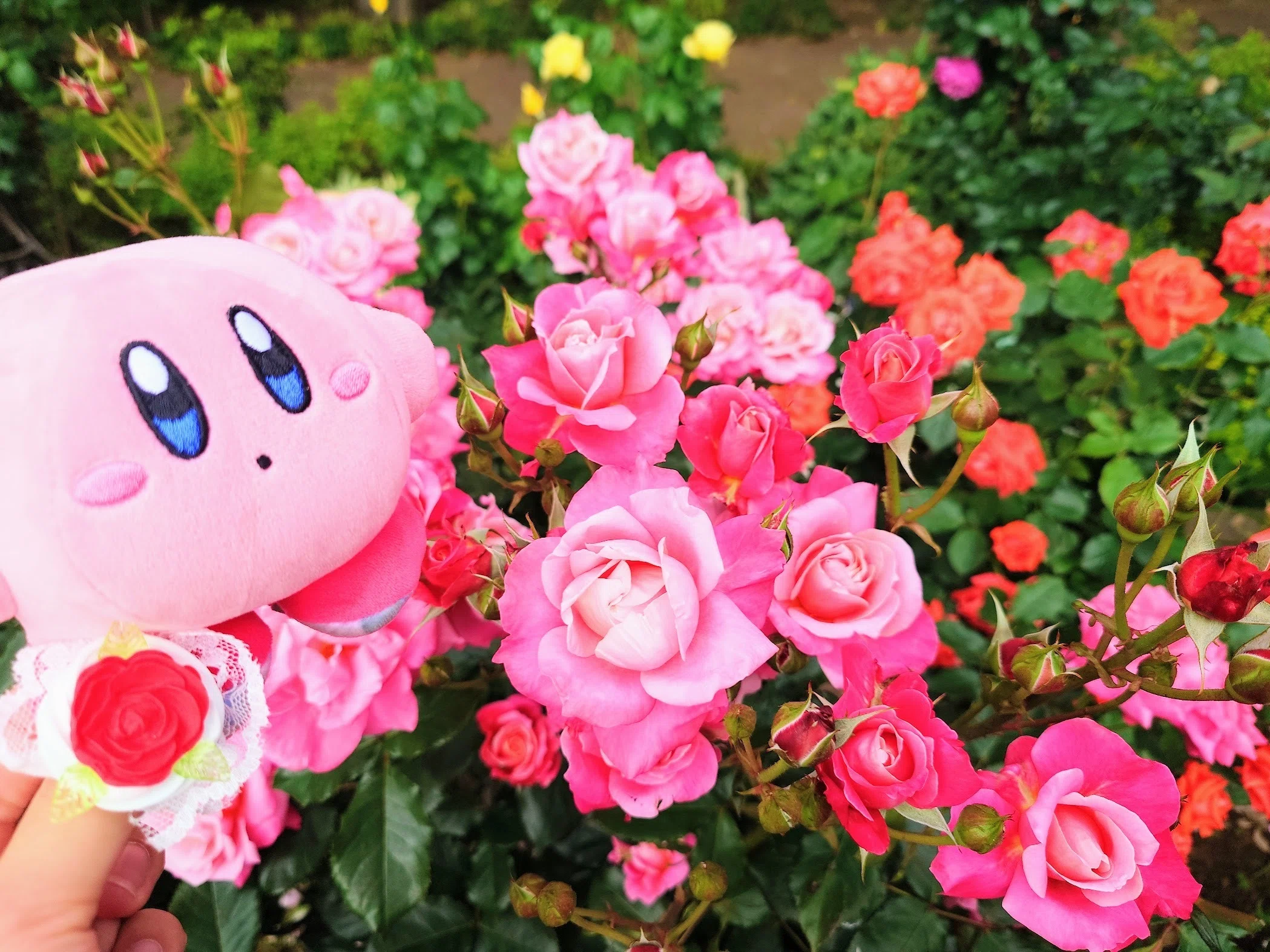乙女心を刺激するローズガーデンの洋館で、珠玉の薔薇スイーツを