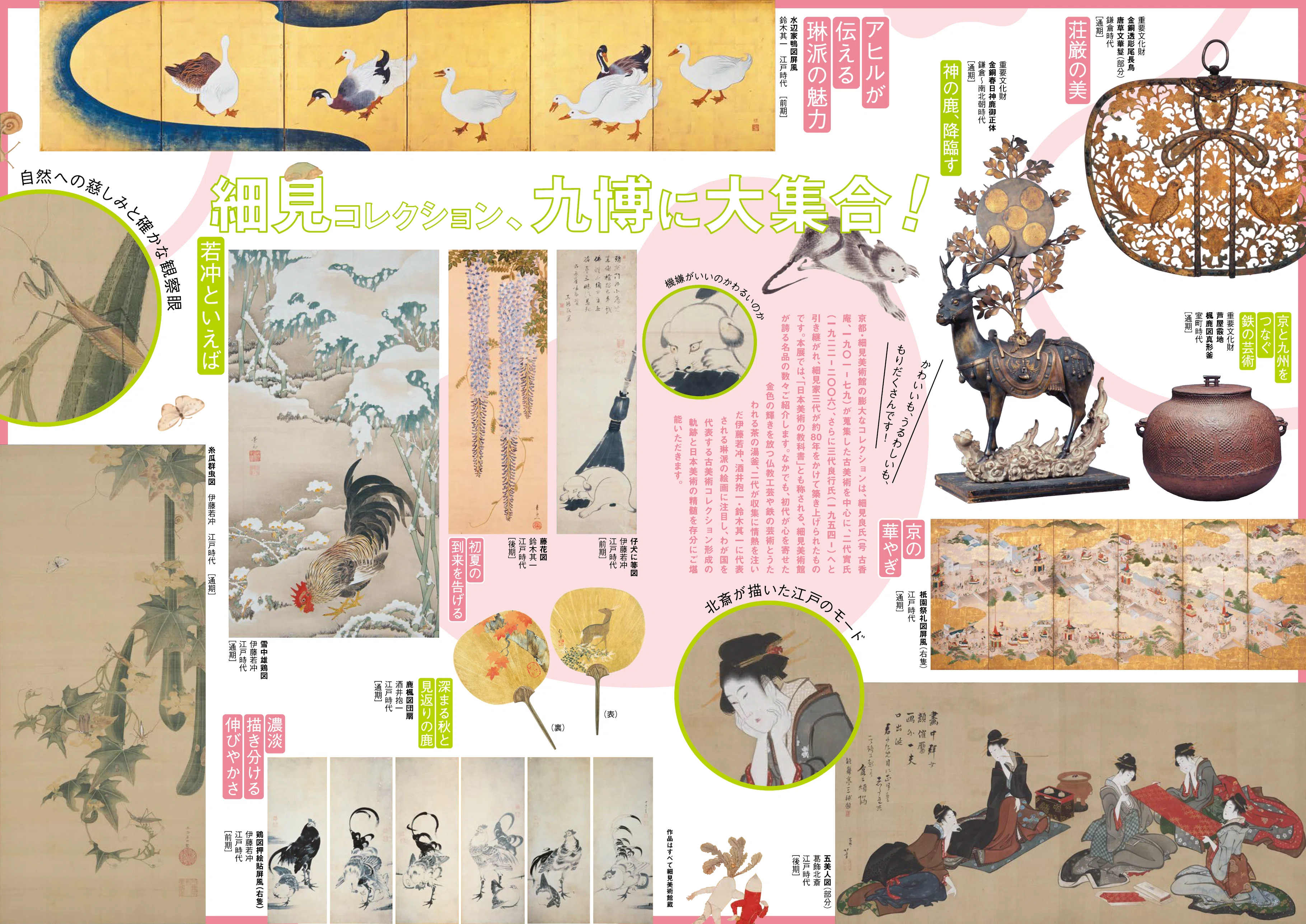 赤﨑千夏さん インタビュー】特別展「若冲、琳派、京の美術―きらめきの