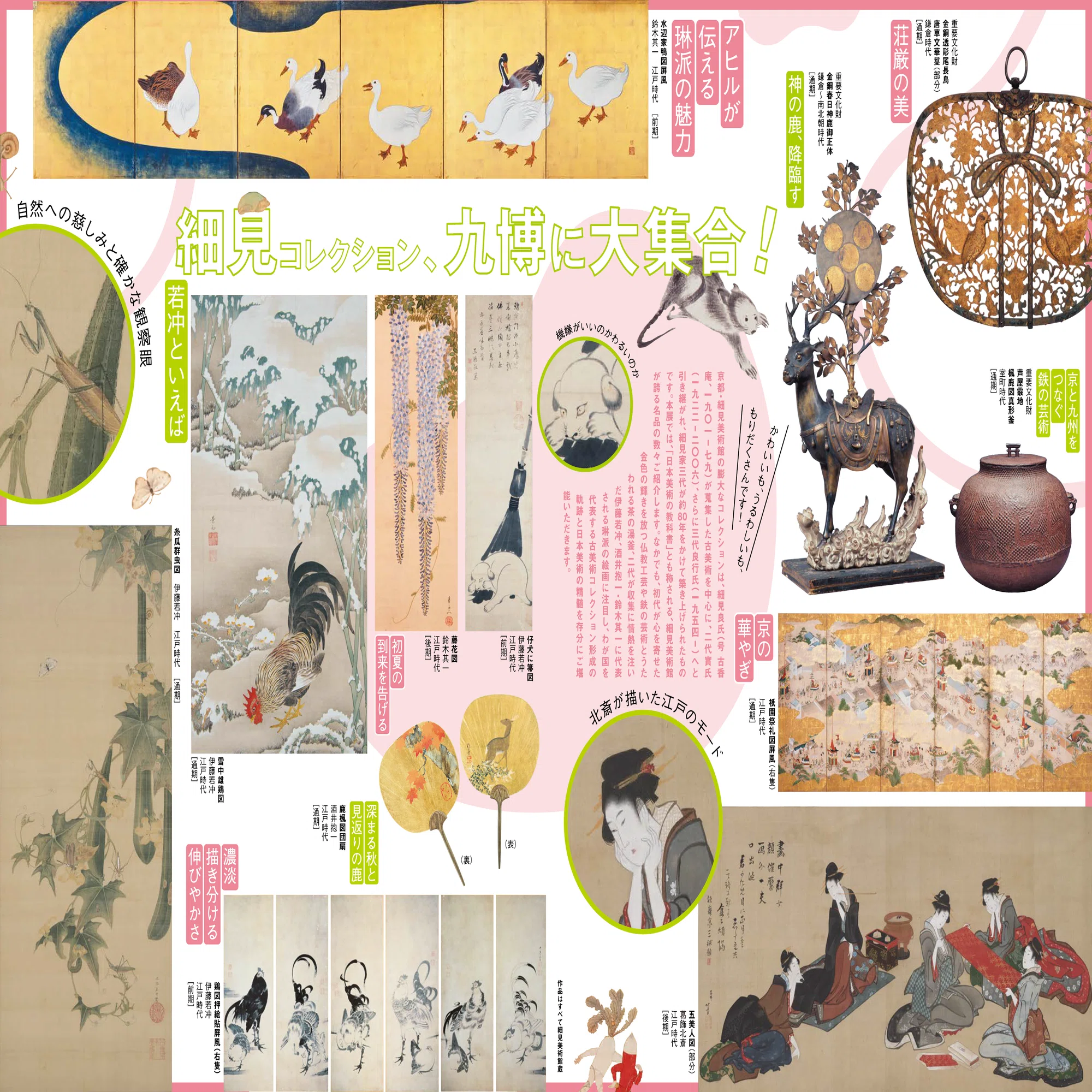 赤﨑千夏さん インタビュー】特別展「若冲、琳派、京の美術―きらめきの