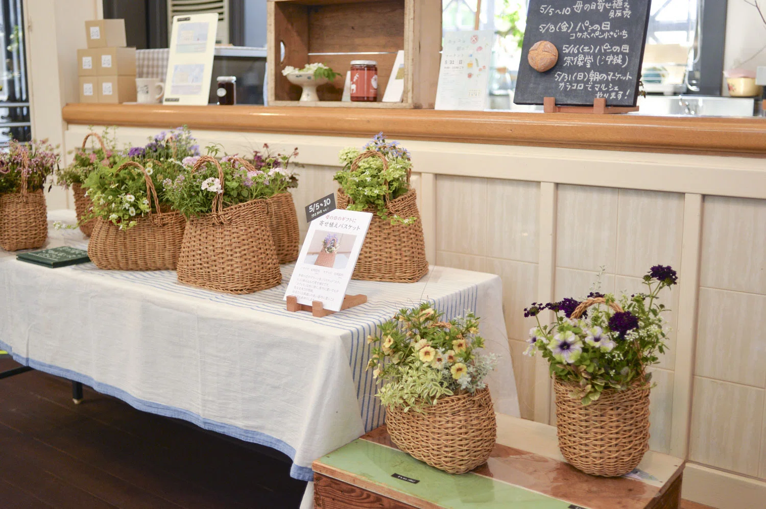 うつわ入荷、「寄せ植えバスケット」ありがとうございました＆今週は16