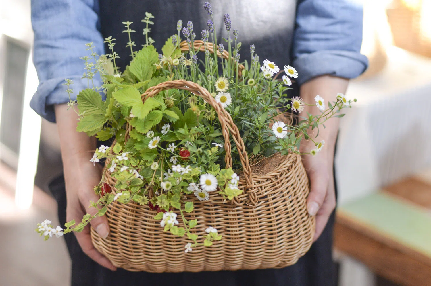 うつわ入荷、「寄せ植えバスケット」ありがとうございました＆今週は16