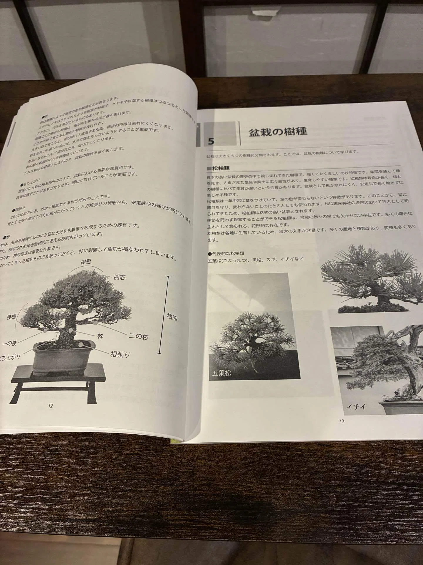 【独学に】盆栽技能講座 テキスト4冊｜基礎からしっかり学習 盆栽記#10】盆栽士への第一歩。教材到着と、これからのビジョン｜funnique