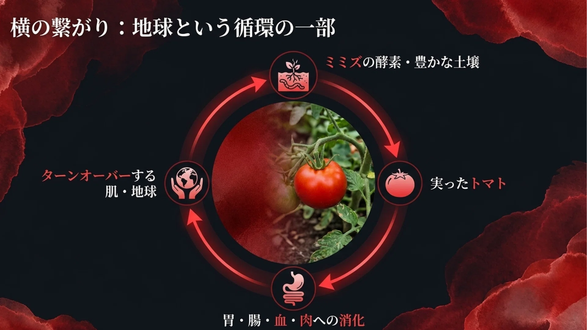 トマト様　確認画面 DAY138：特攻隊の祖父から繋がる命のバトン。「存在自体が奇跡
