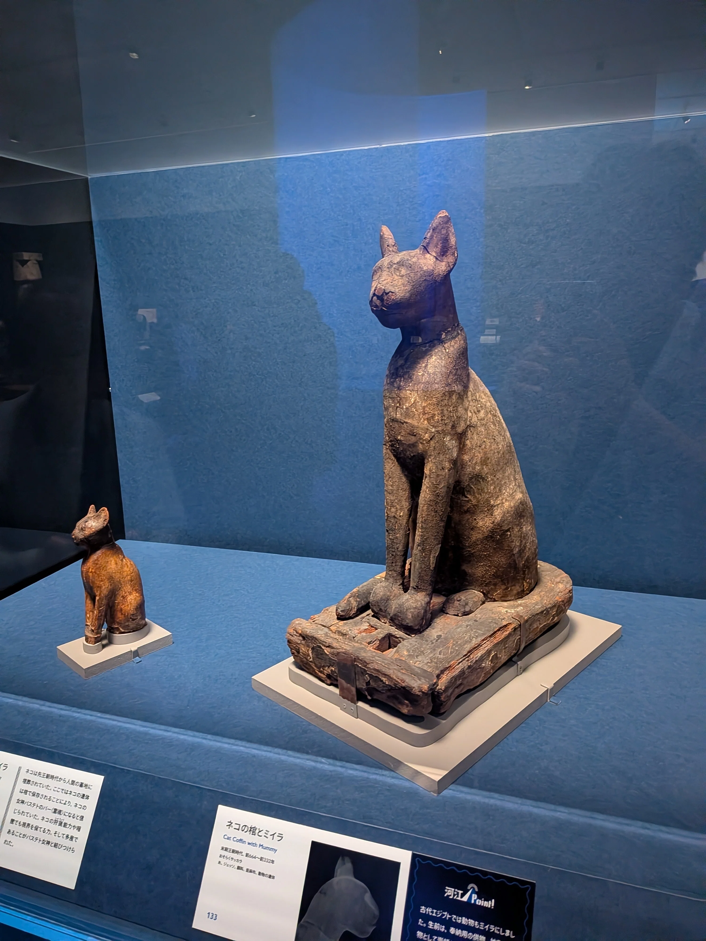 行ってきた】ブルックリン博物館所蔵特別展 古代エジプト｜kousai
