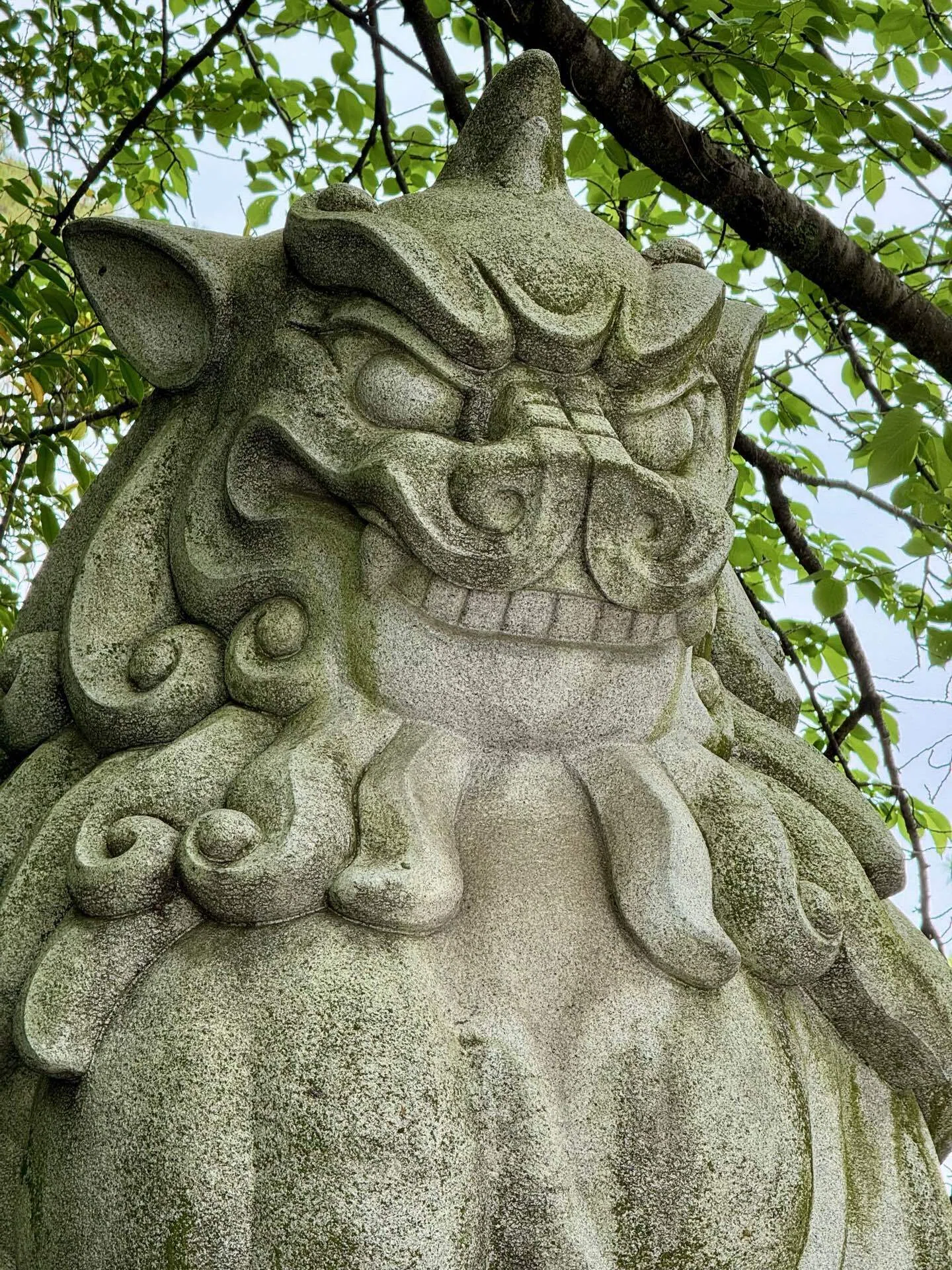 人生の羅針盤寒川神社②巨大狛犬｜福田博之