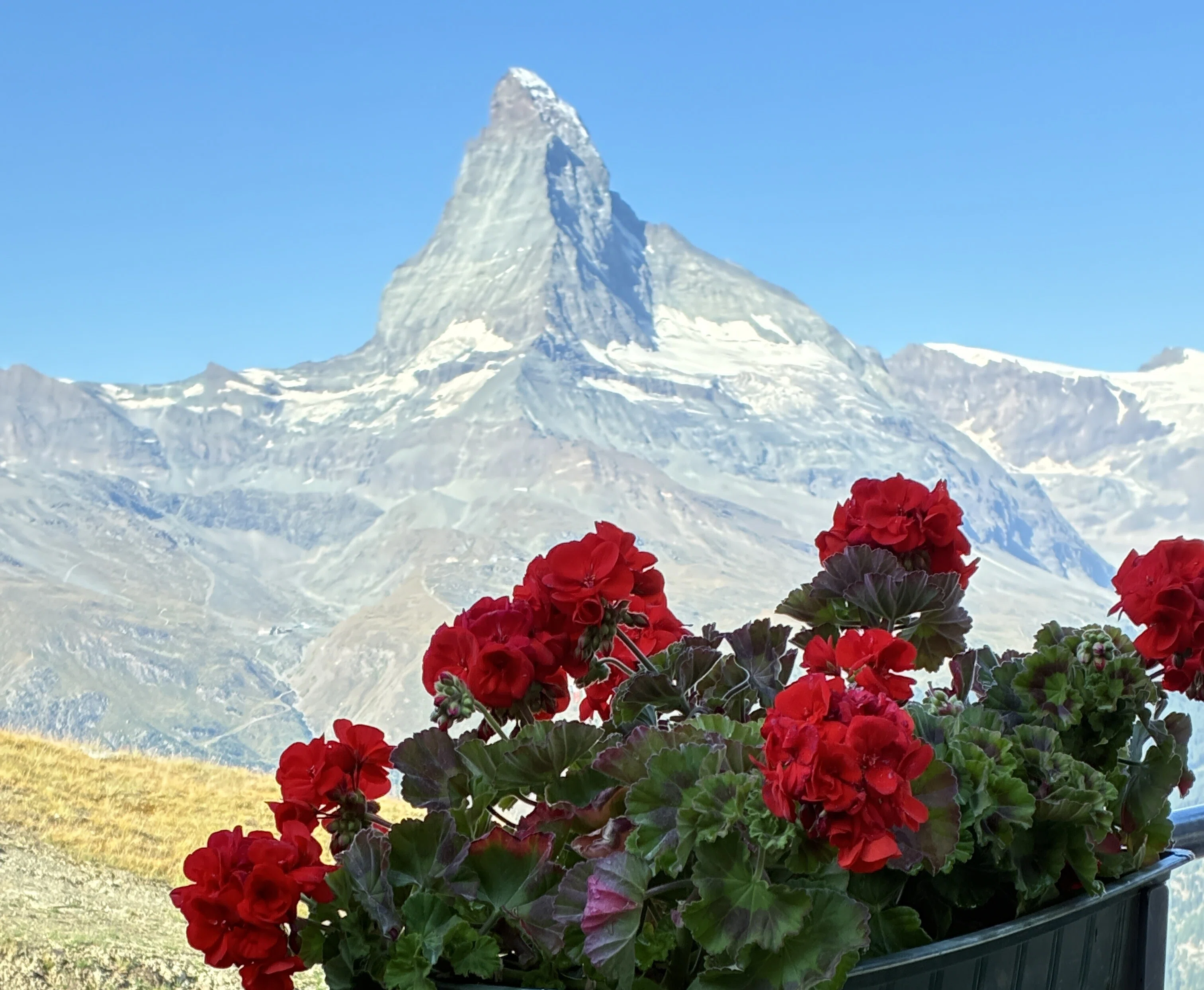 予定変更でブラウヘルトへ🏔️ | 鋭い角度のマッターホルン（スイス