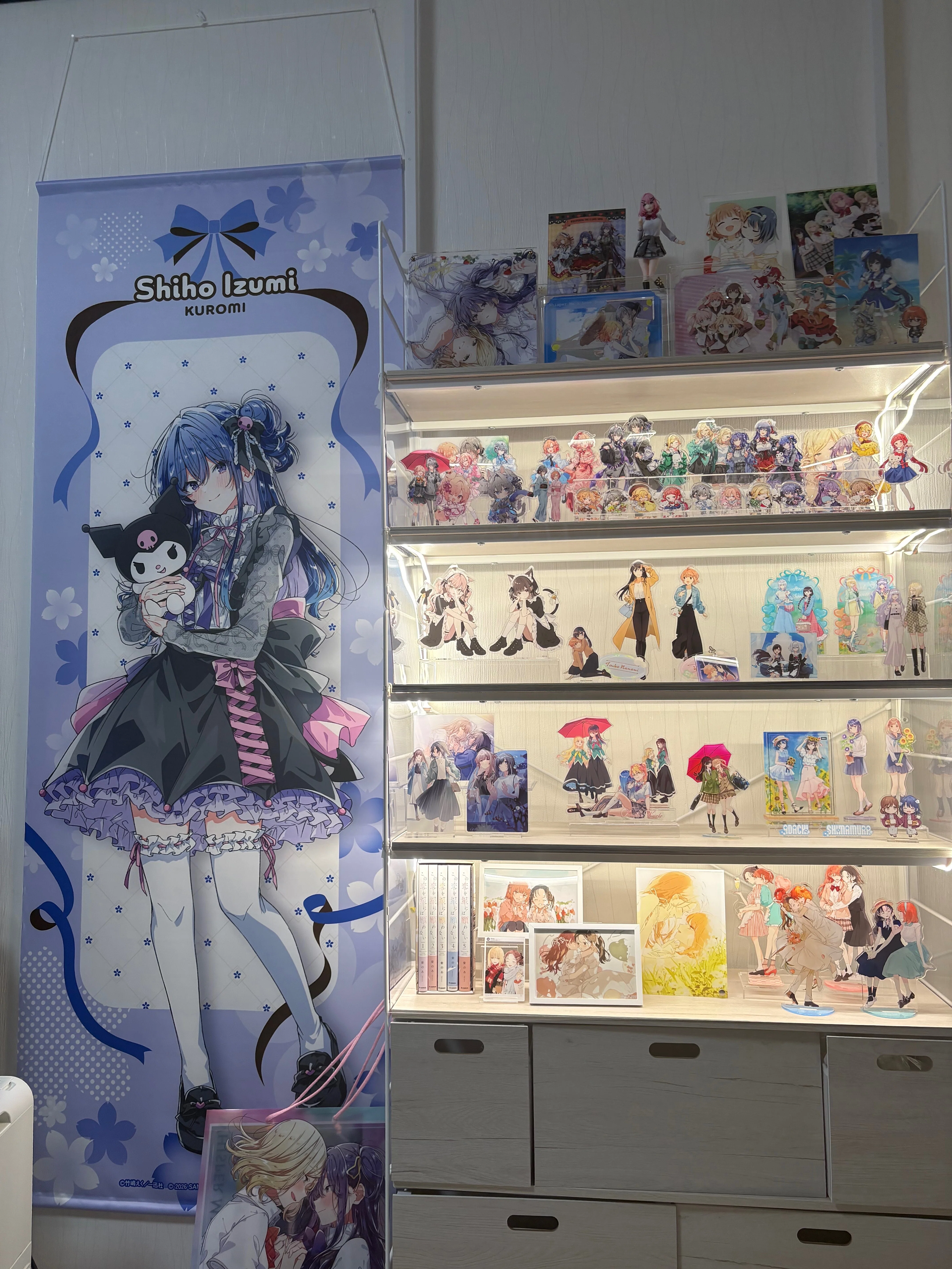 オタク必見]格安で大型コレクションケース作成の極意＆自慢｜もりりん