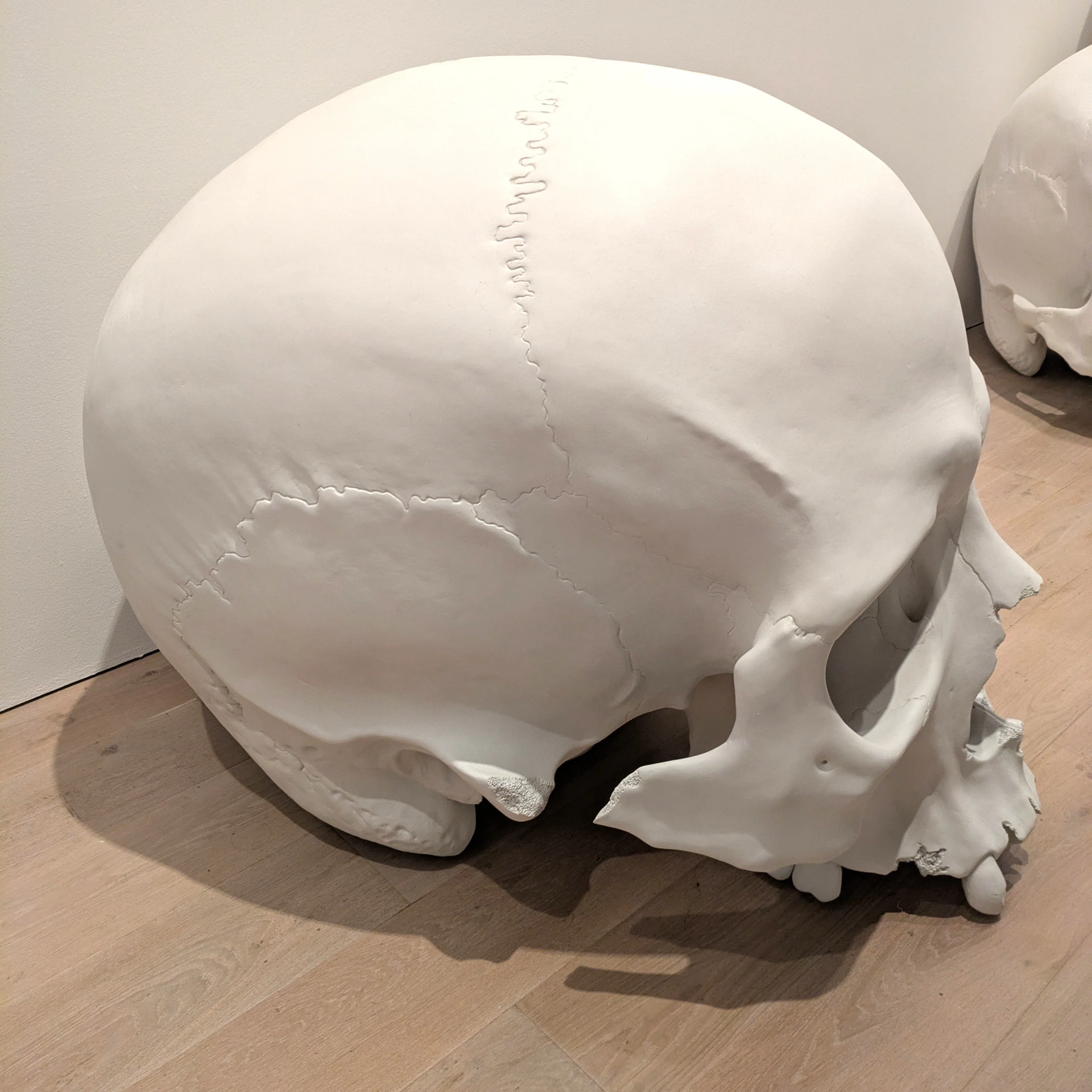 高品質！ エミュ　頭骨 ロン・ミュエック展│“普通のサイズ”って何だろう。｜Ito.