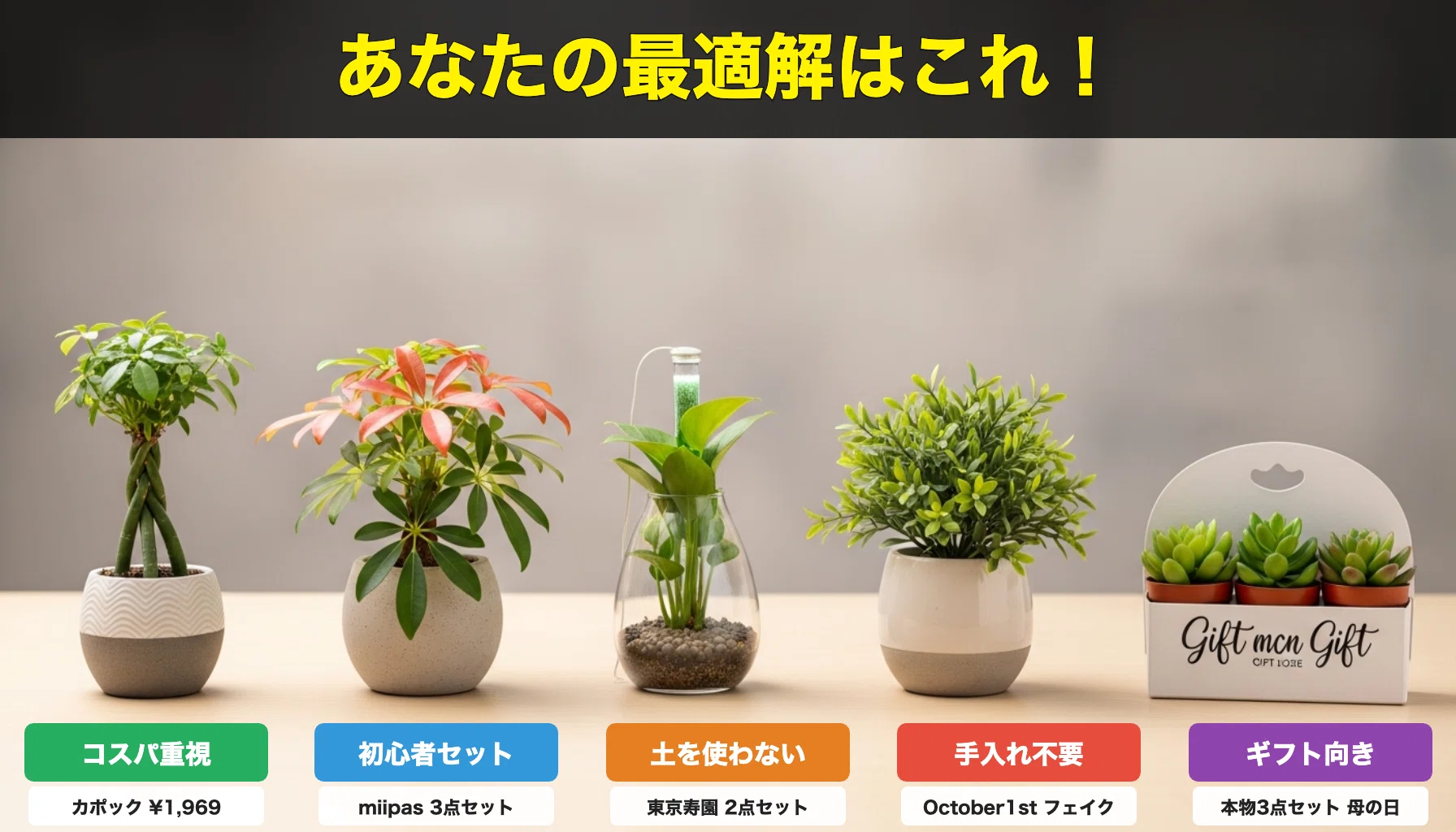 ミニ観葉植物おすすめ比較【初心者向け厳選5選】｜モノ選びの最適解