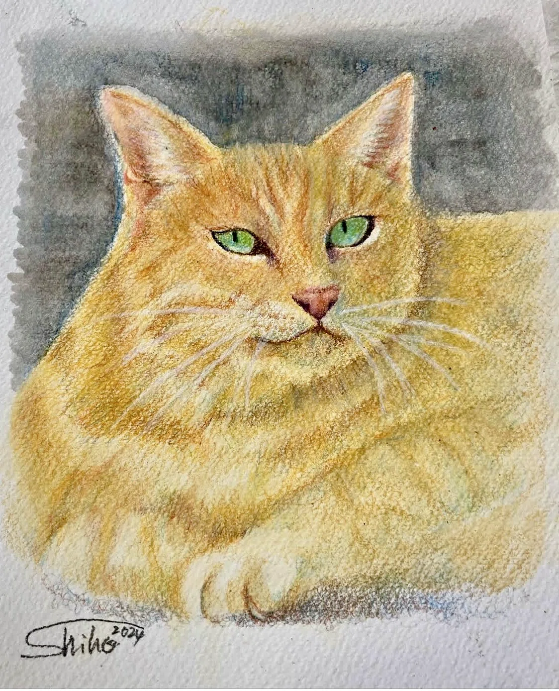 静寂』｜駐車場で出会った猫｜#404美術館｜shiho【色鉛筆画】