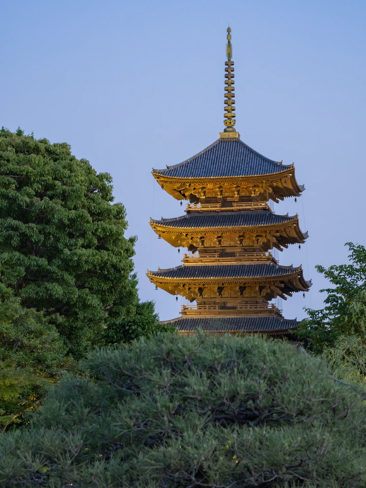 京都の夜、新旧二つの塔。東寺五重塔ライトアップ｜KATSUMI