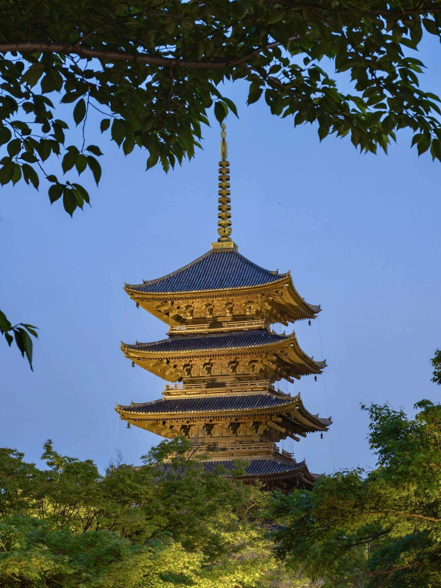 京都の夜、新旧二つの塔。東寺五重塔ライトアップ｜KATSUMI
