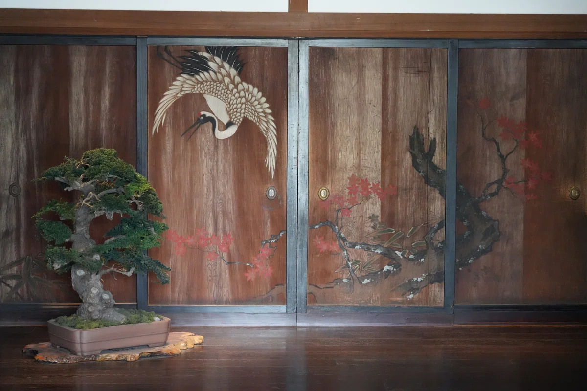 本文画像