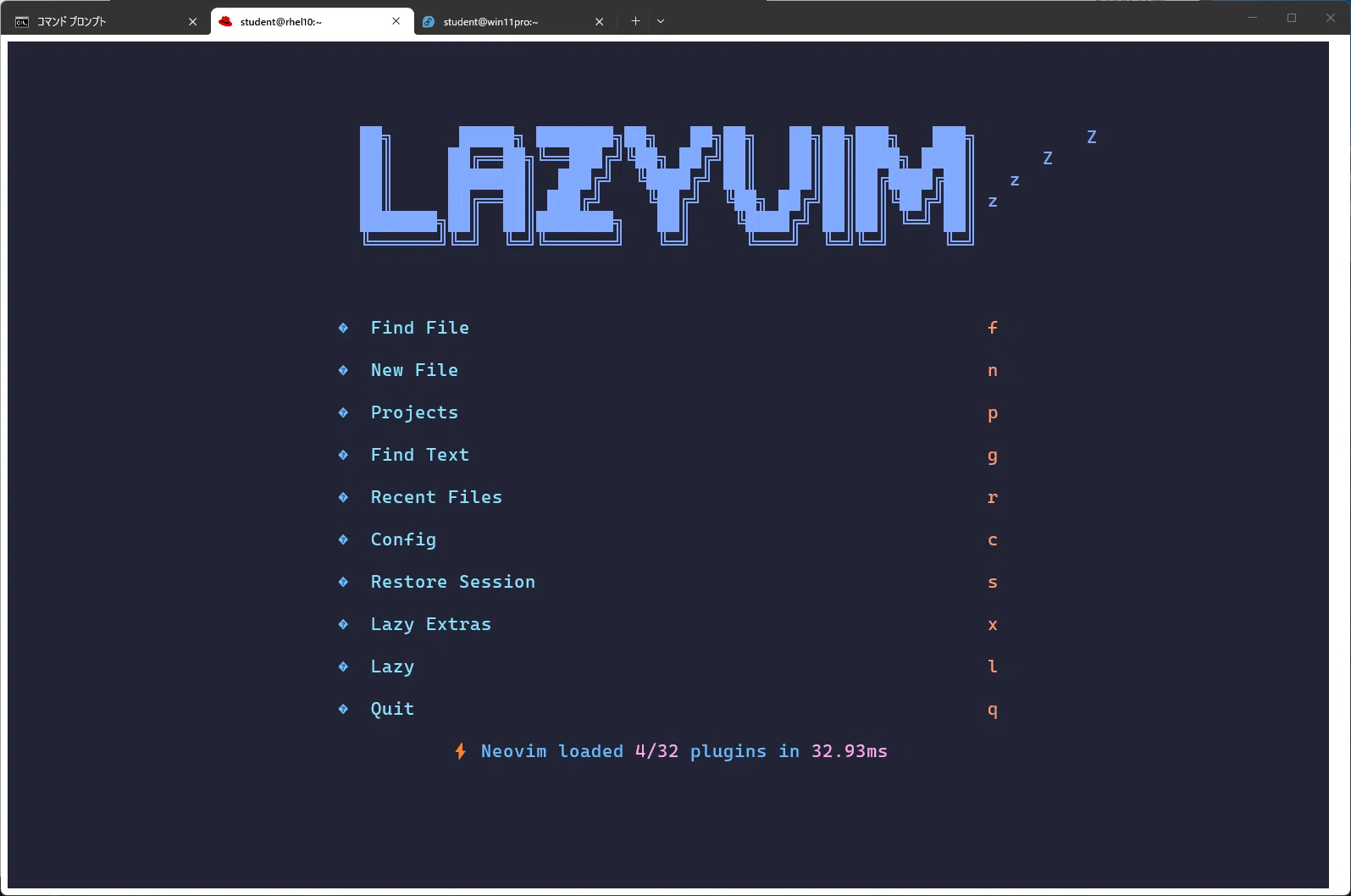 LazyVim入門（インストール方法と基本的な使い方）｜neverbird