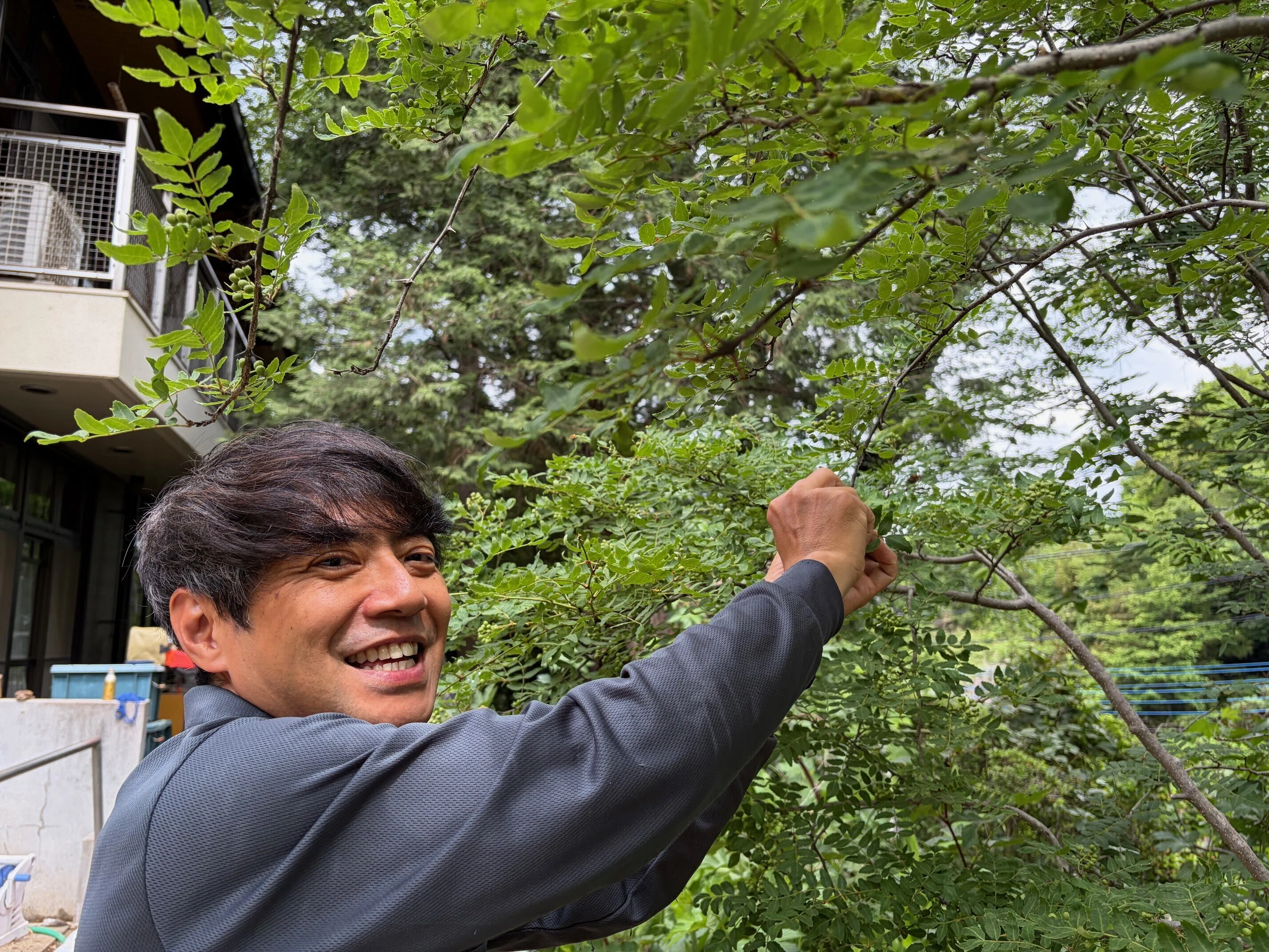 実山椒の収穫！｜川崎市黒川青少年野外活動センター