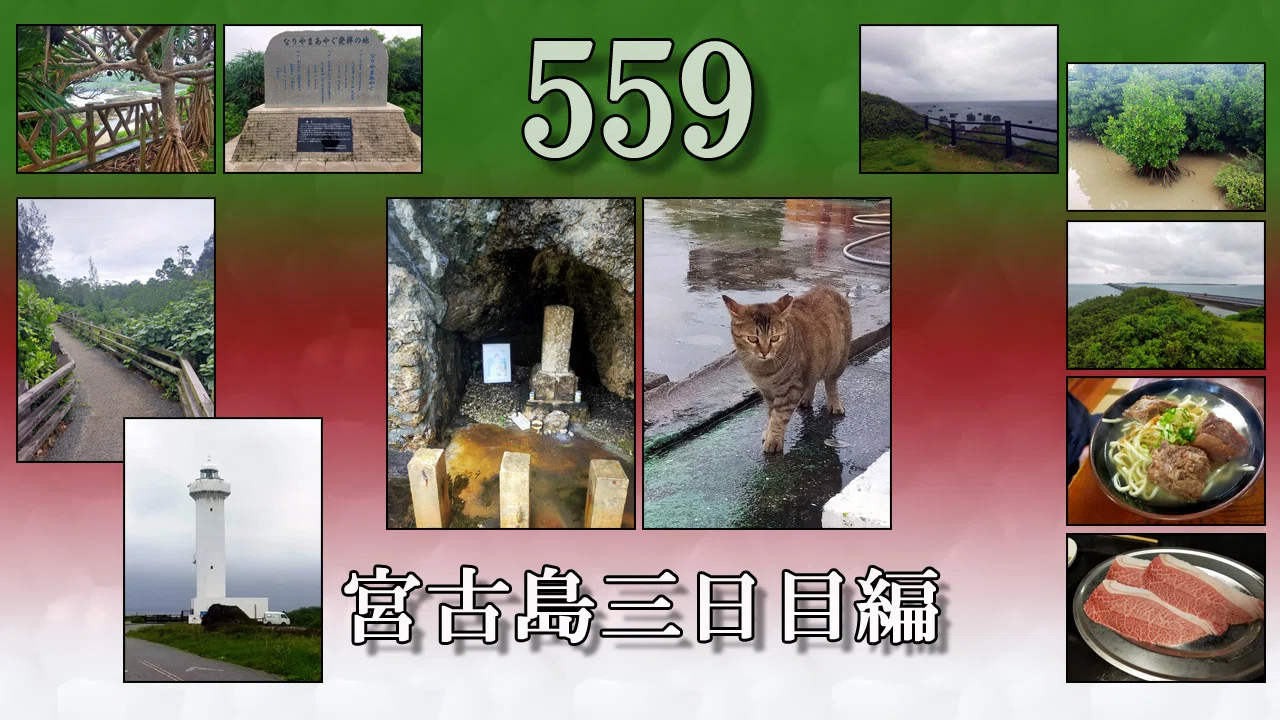 闇 559（宮古島三日目編）｜岩上智一郎