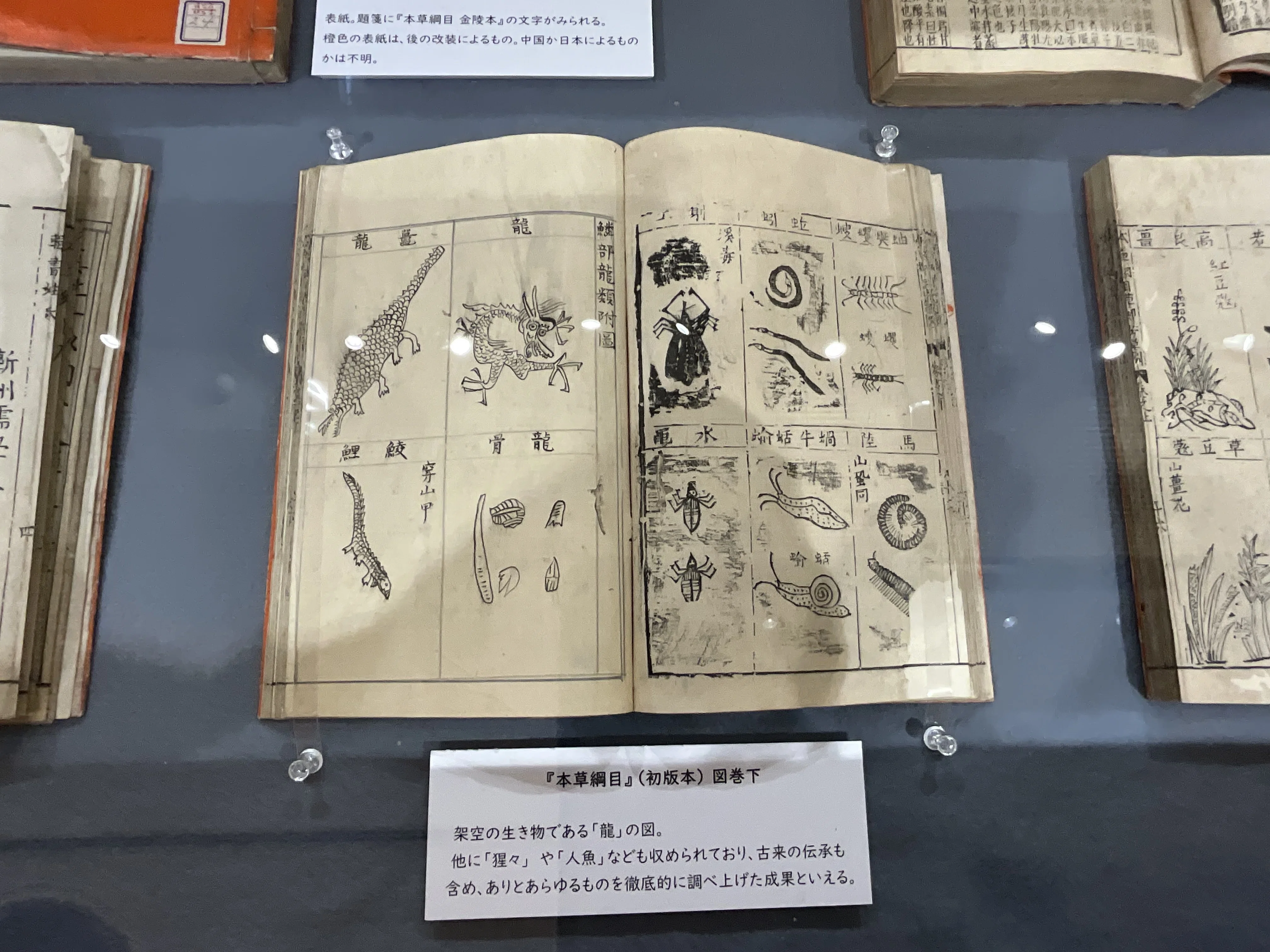 本草綱目』（金陵本）の展示（京都府立植物園）：2026年5月12日（火