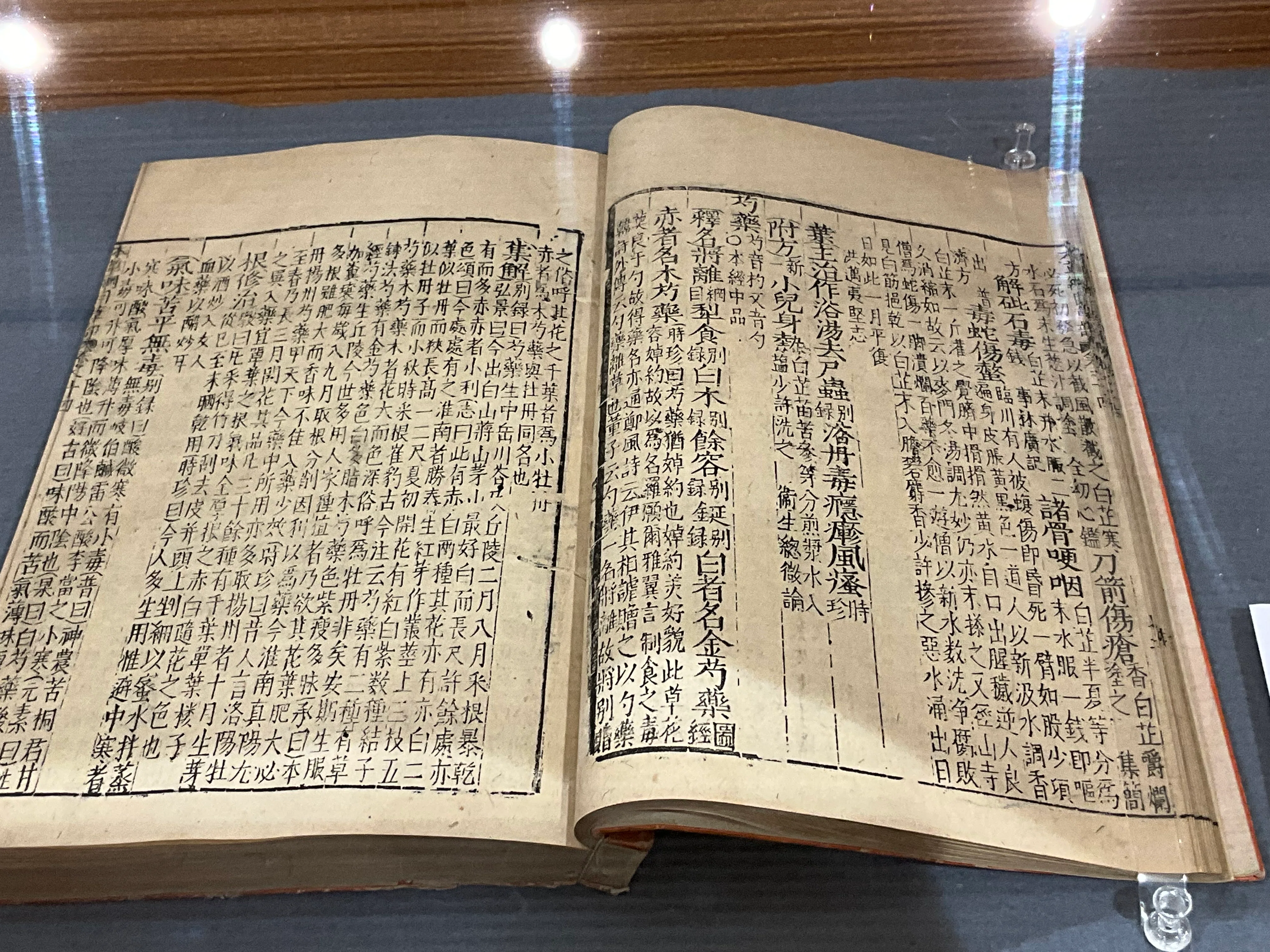 本草綱目』（金陵本）の展示（京都府立植物園）：2026年5月12日（火