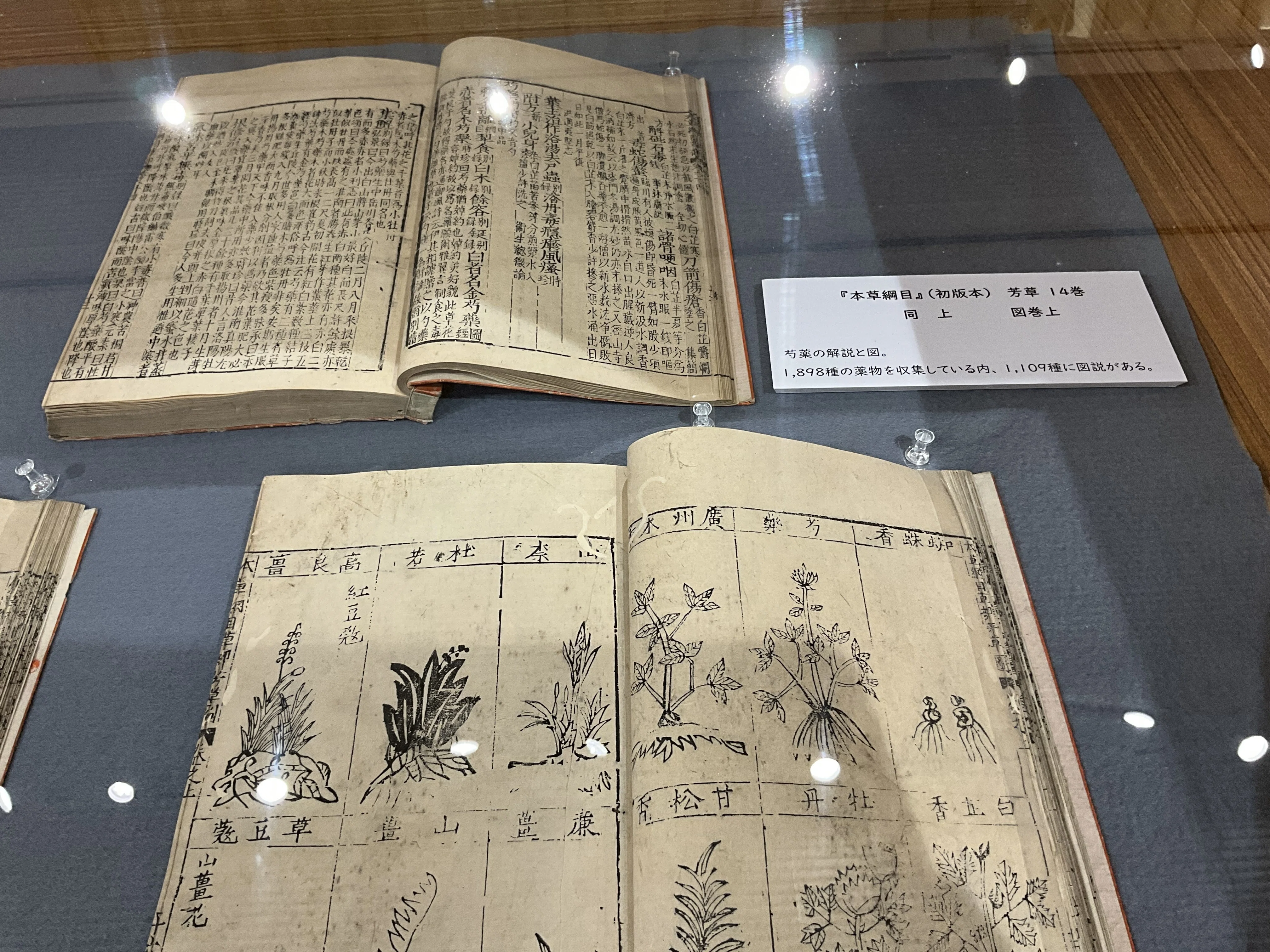 本草綱目』（金陵本）の展示（京都府立植物園）：2026年5月12日（火