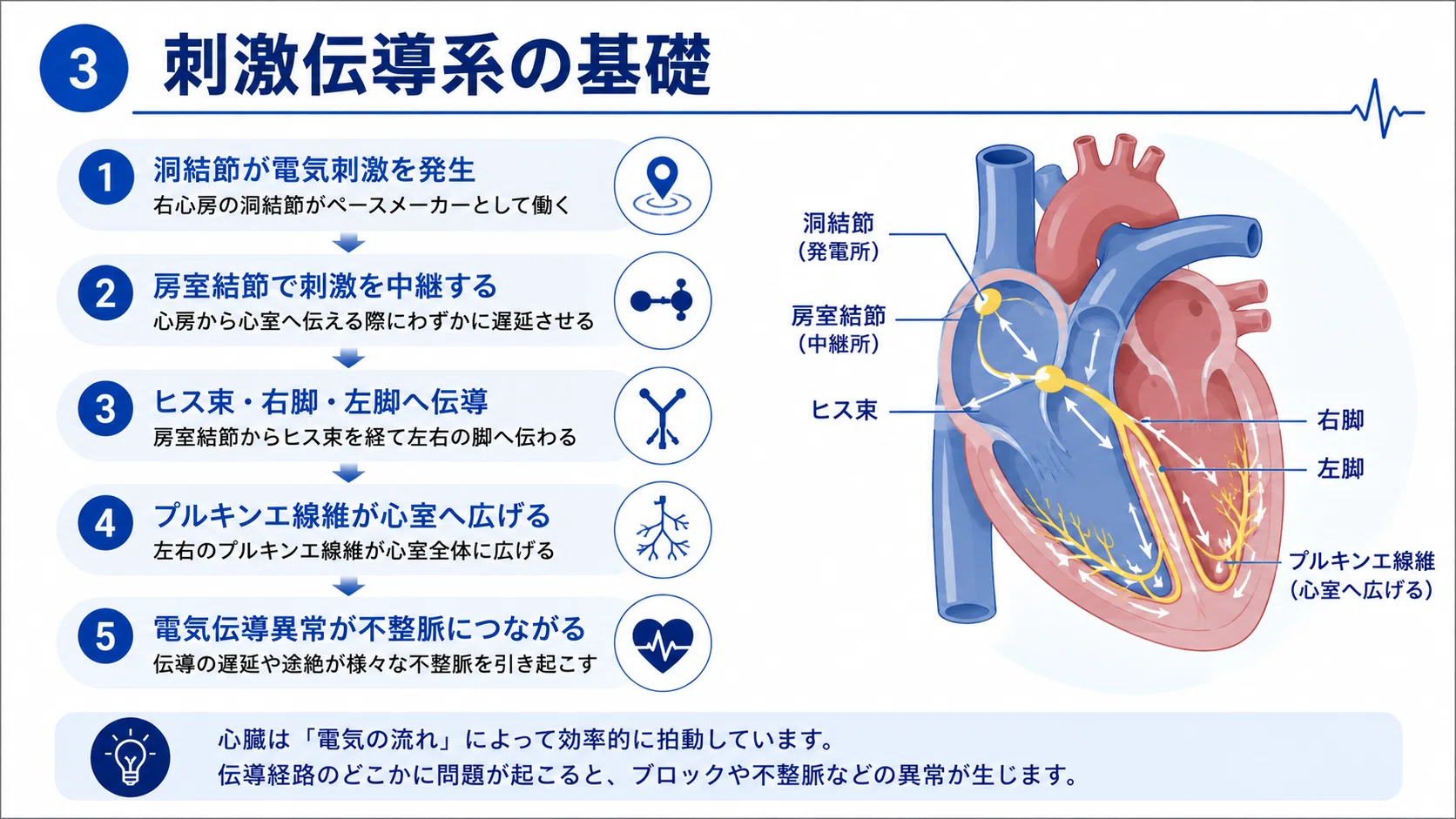 やさしい心電図の見方 完全講義】正常波形・不整脈・異常所見を基礎