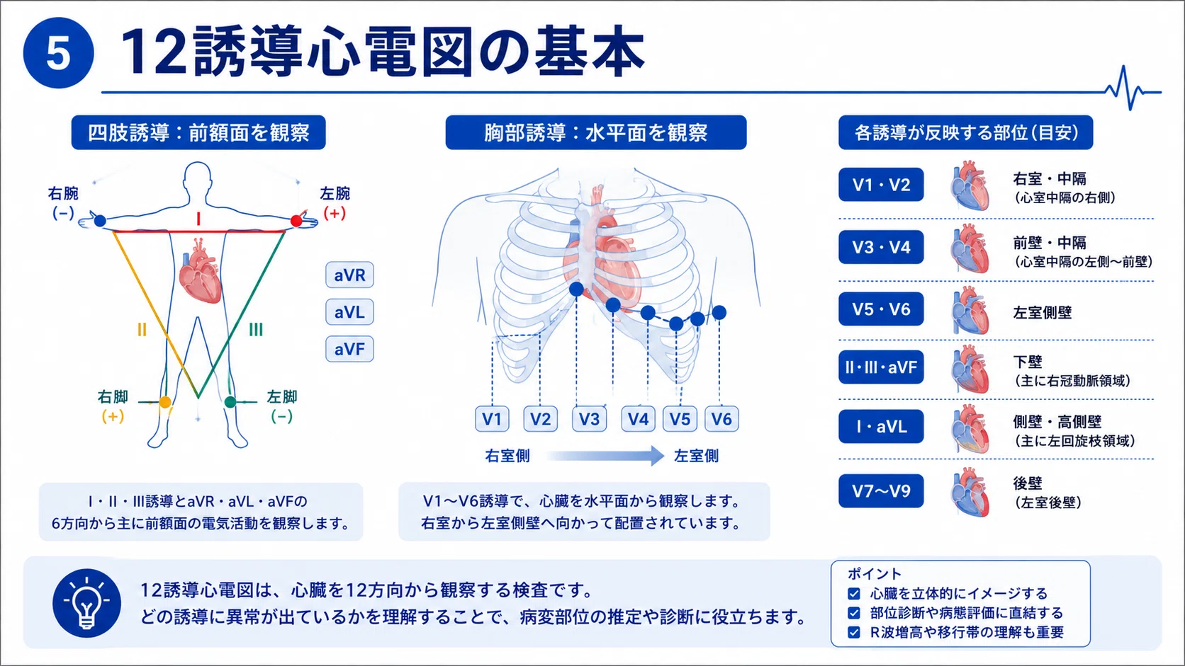 やさしい心電図の見方 完全講義】正常波形・不整脈・異常所見を基礎