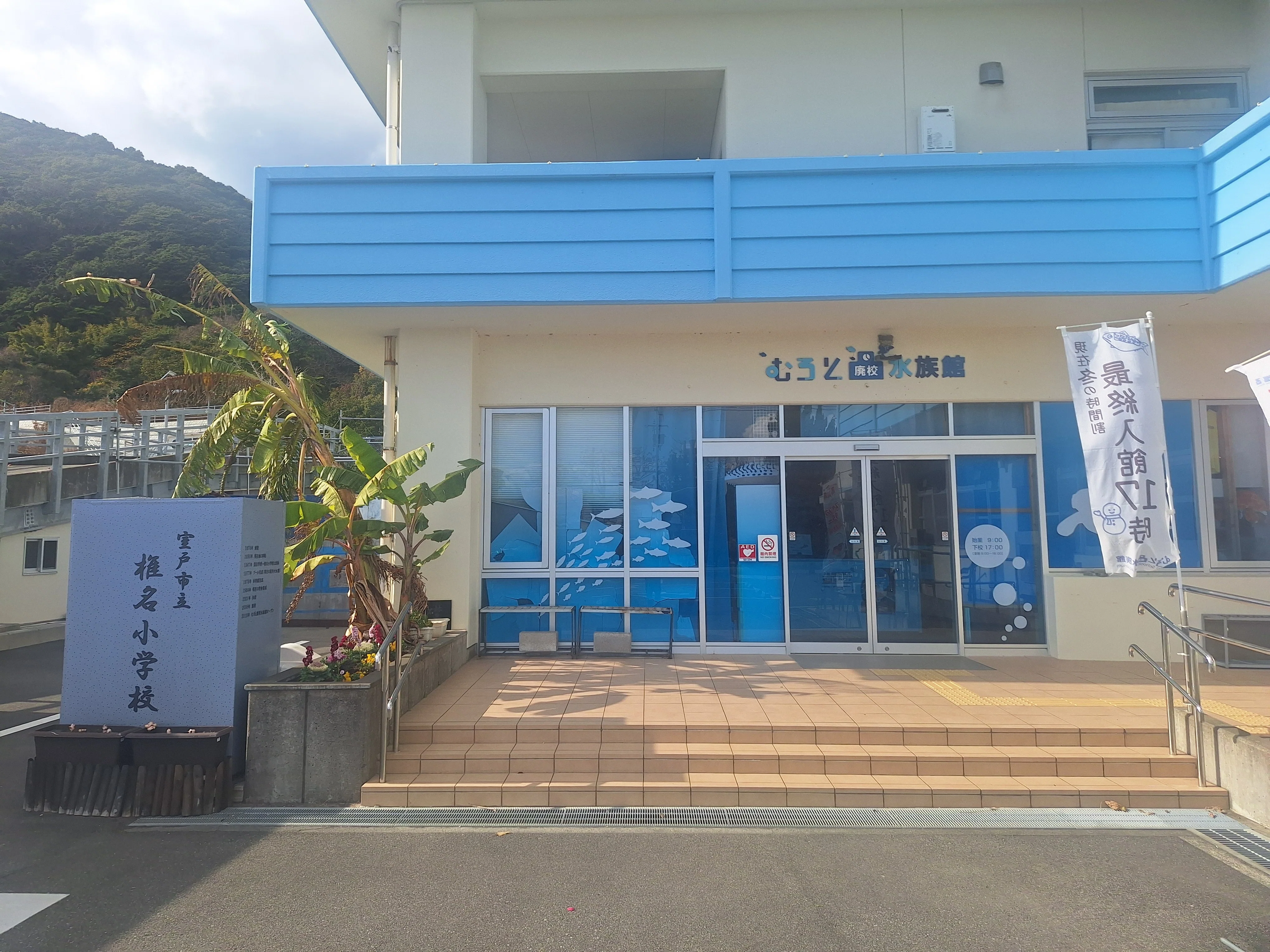 四国旅行4日目(高知～徳島後半)｜ノージー
