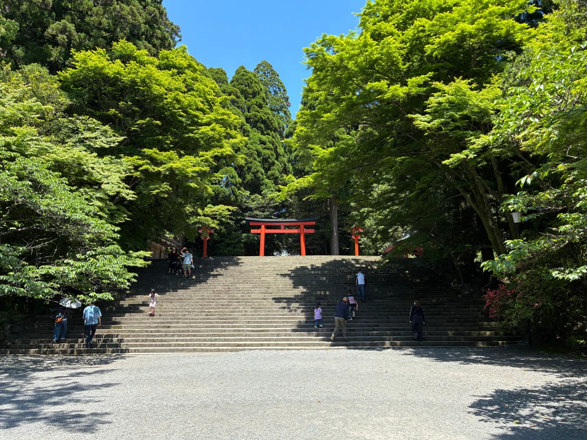 日向国へ（後編）。｜wzd